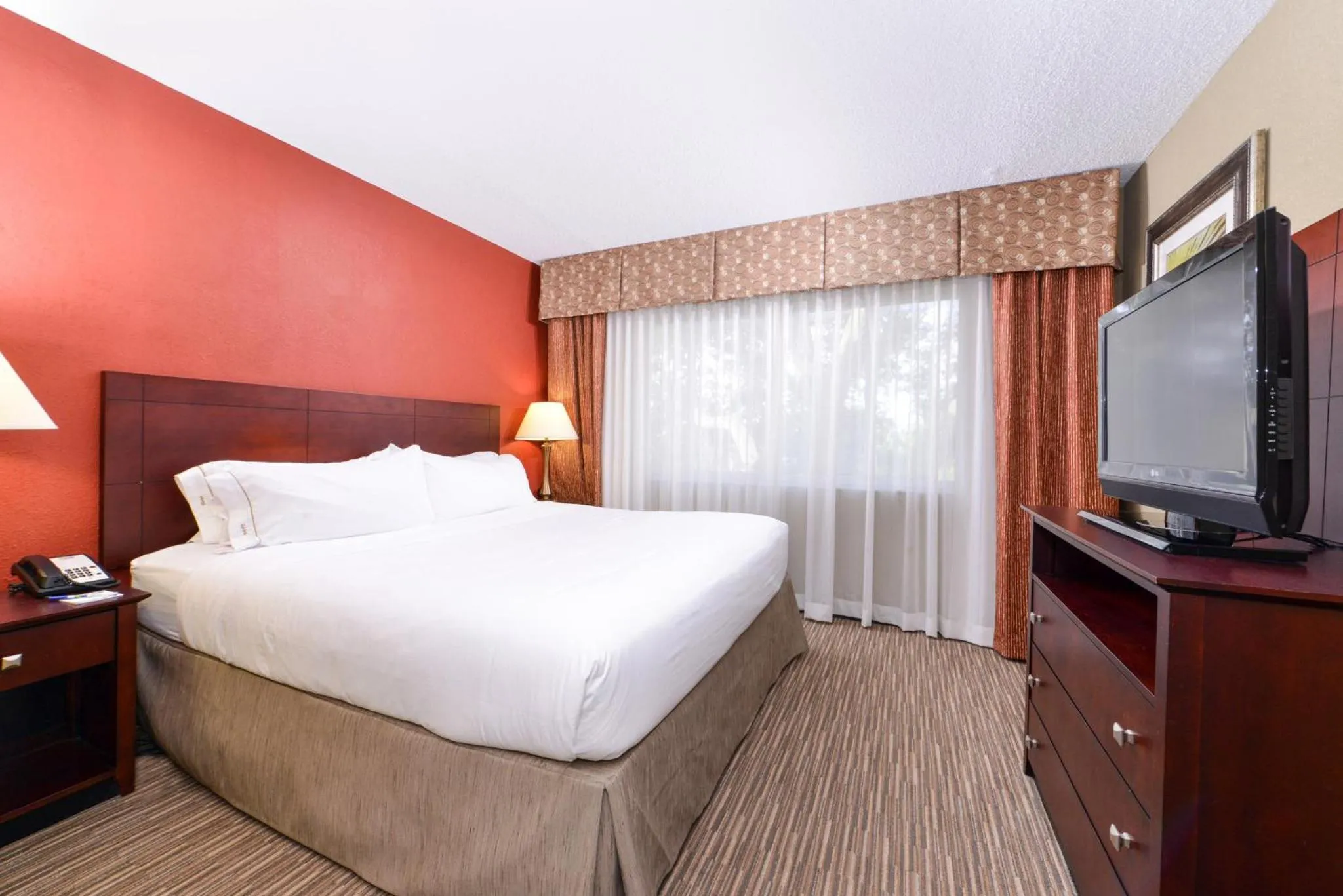 Photo of the whole room, Bed in Holiday Inn Express Hotel Clearwater East - ICOT Center by IHG