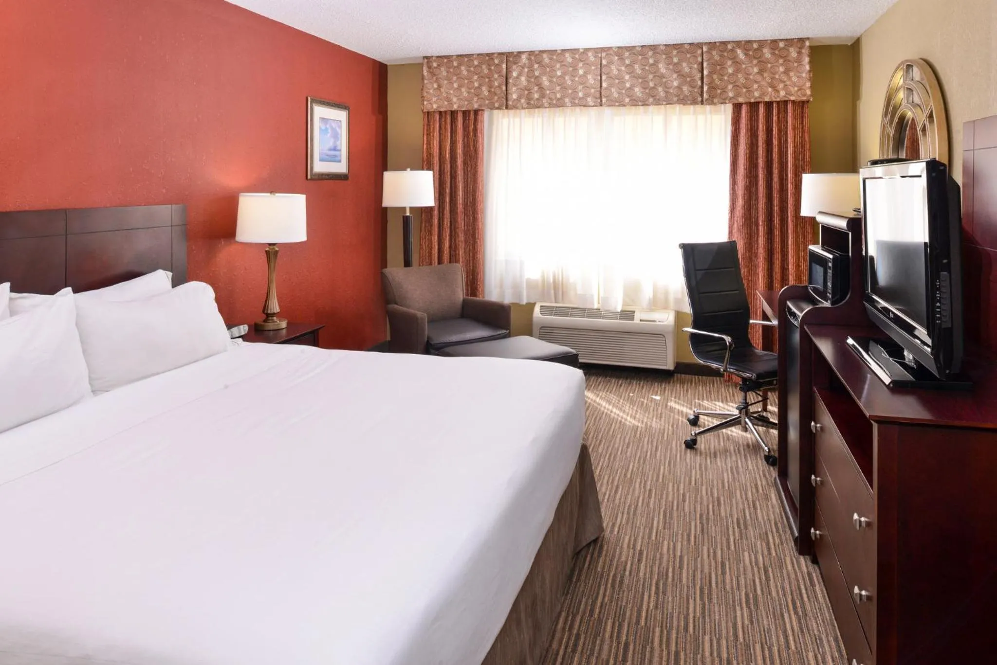 Photo of the whole room, Bed in Holiday Inn Express Hotel Clearwater East - ICOT Center by IHG