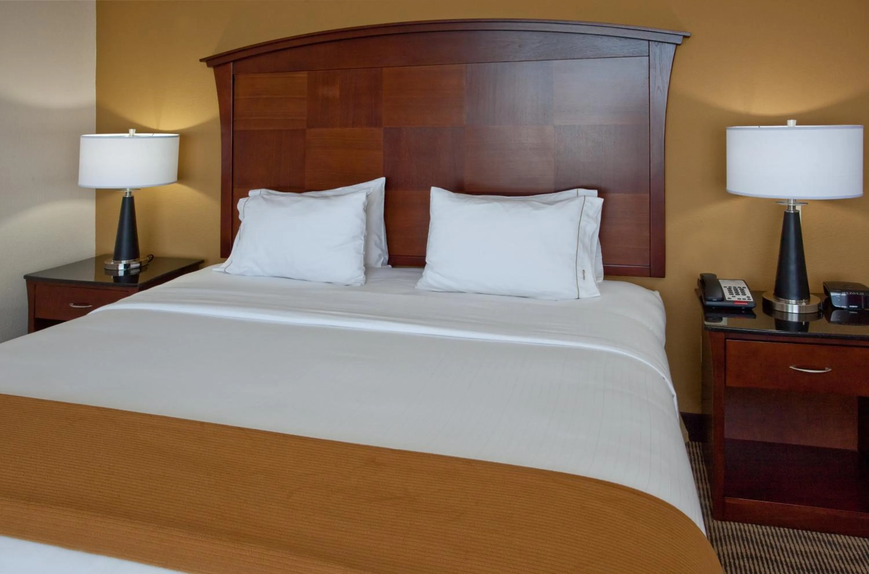 Photo of the whole room, Bed in Holiday Inn Express & Suites Austin South-Buda by IHG