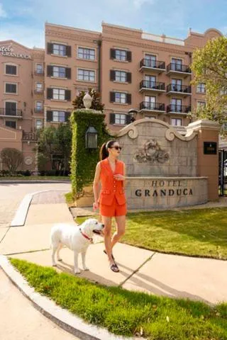 pet friendly in Hotel Granduca Houston