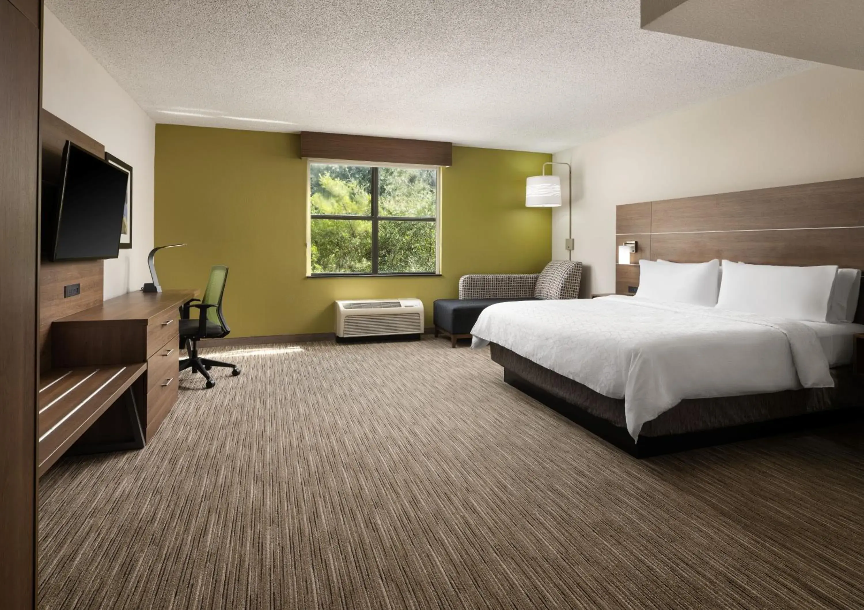 One-Bedroom Suite with Sofa Bed in Holiday Inn Express Hotel & Suites Irving DFW Airport North by IHG One-Bedroom Suite with Sofa Bed in Holiday Inn Express Hotel & Suites Irving DFW Airport North by IHG