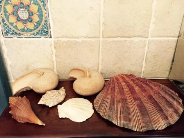 Decorative detail in B&B dei Fiori