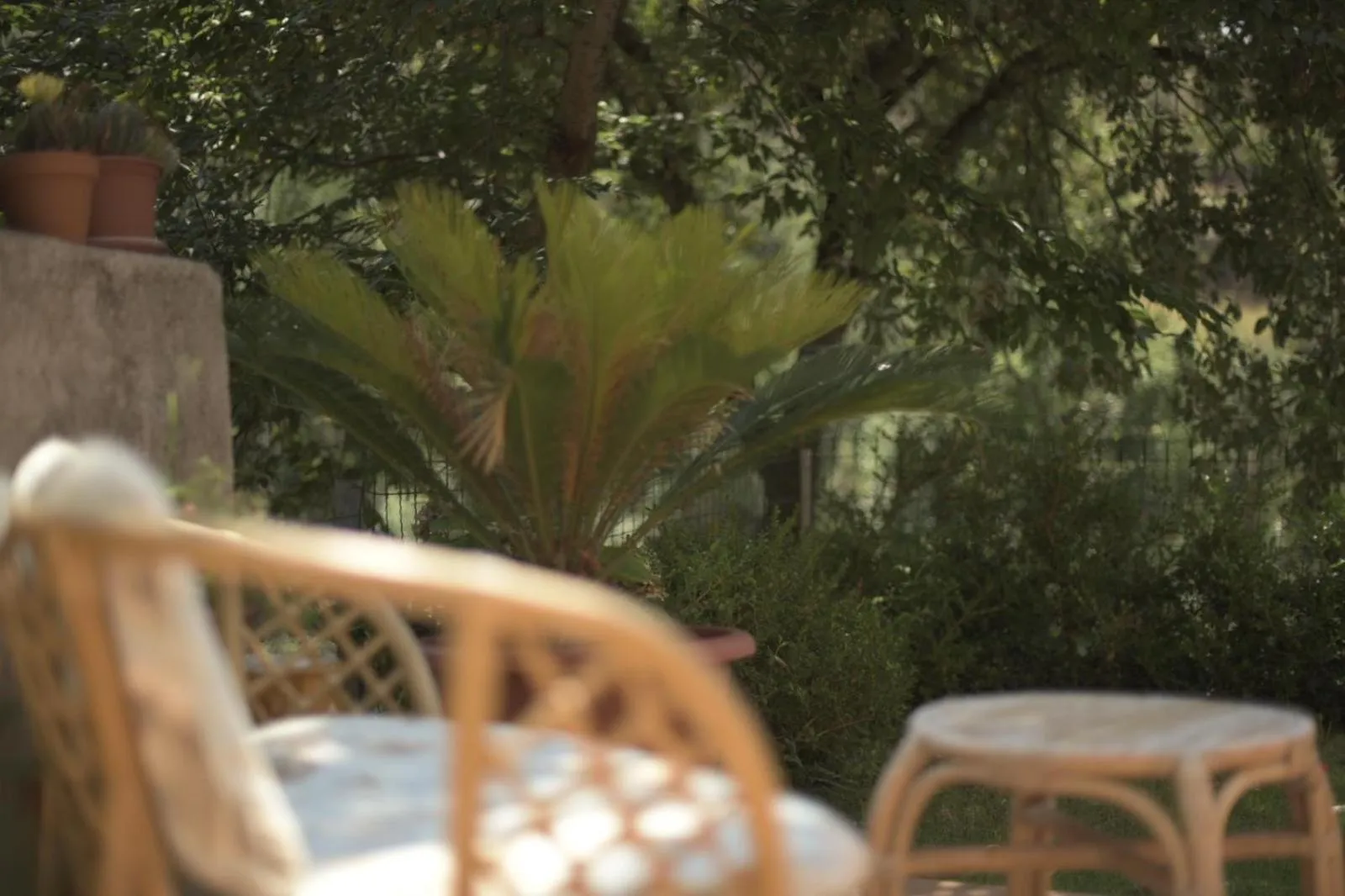 Patio in B&B dei Fiori