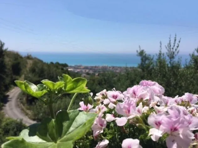 Sea view in B&B dei Fiori