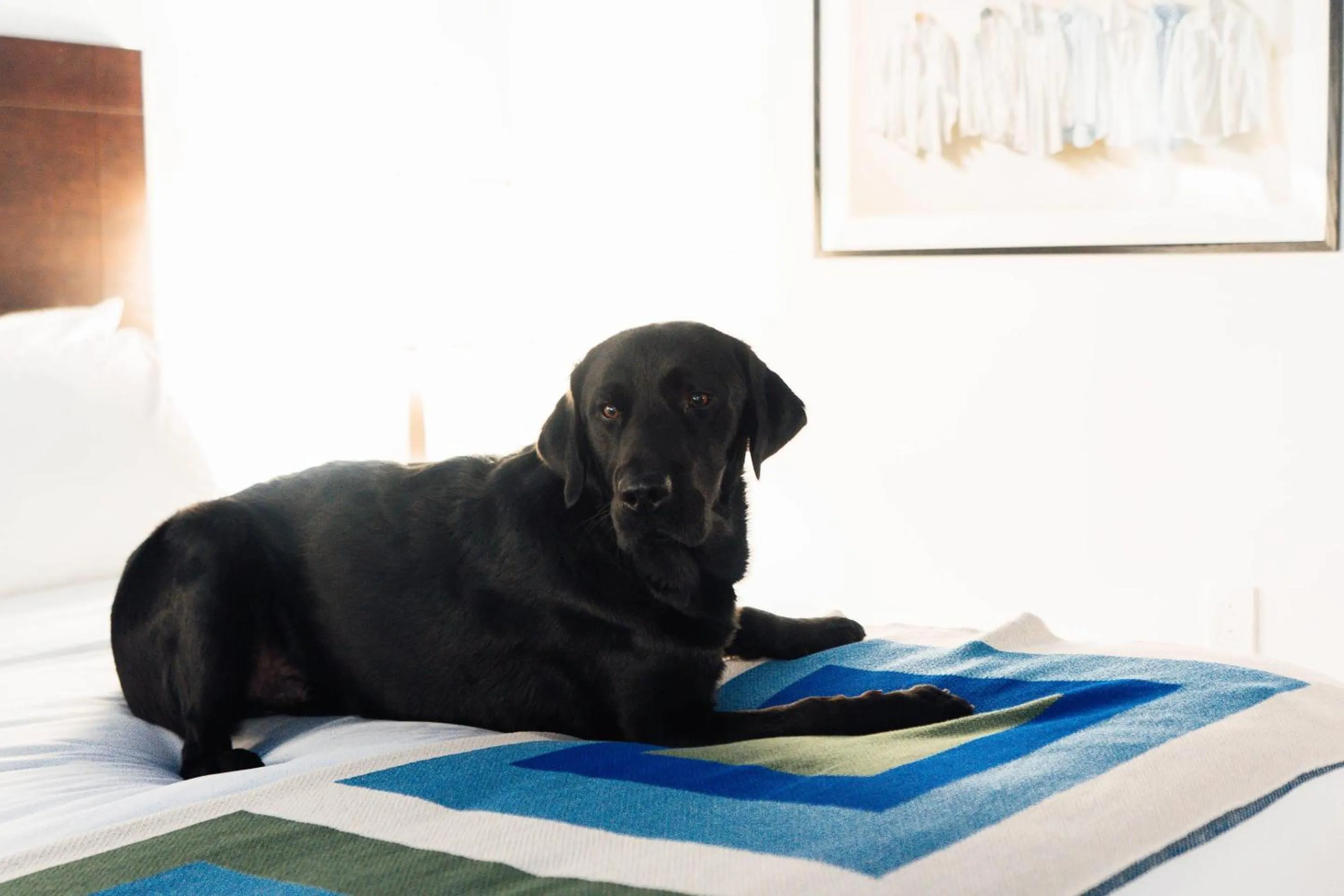 Bedroom in Hotel Downstreet, an Ascend Collection Hotel