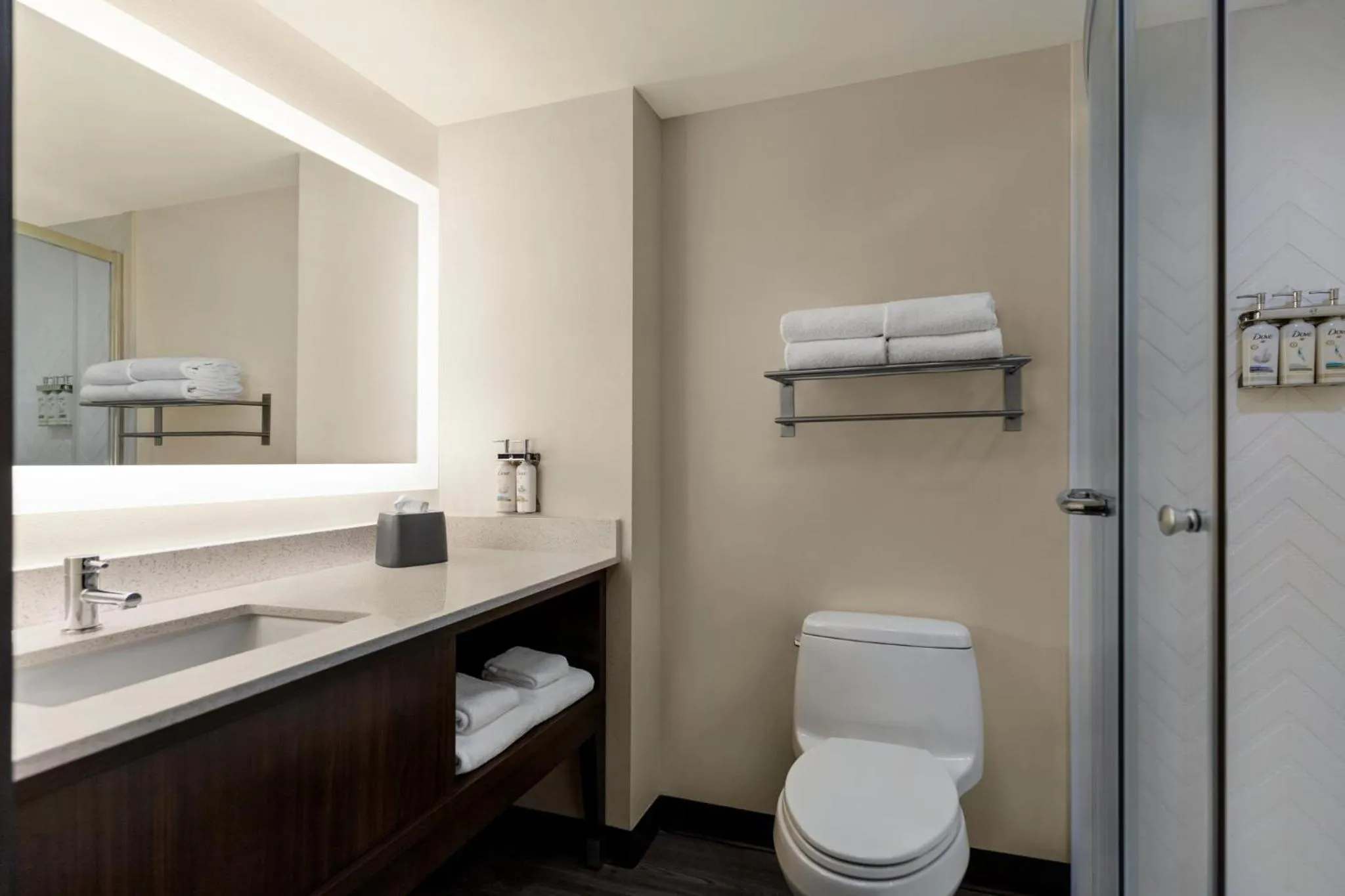 Bathroom in Holiday Inn Columbus-Hilliard by IHG