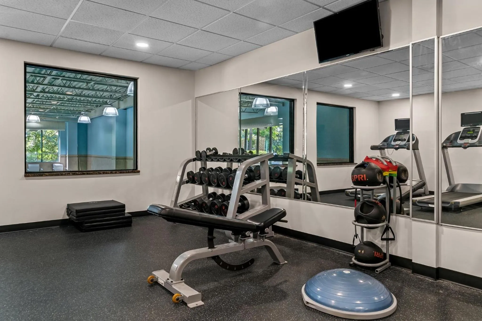 Fitness centre/facilities in Holiday Inn Express & Suites Detroit - Novi by IHG