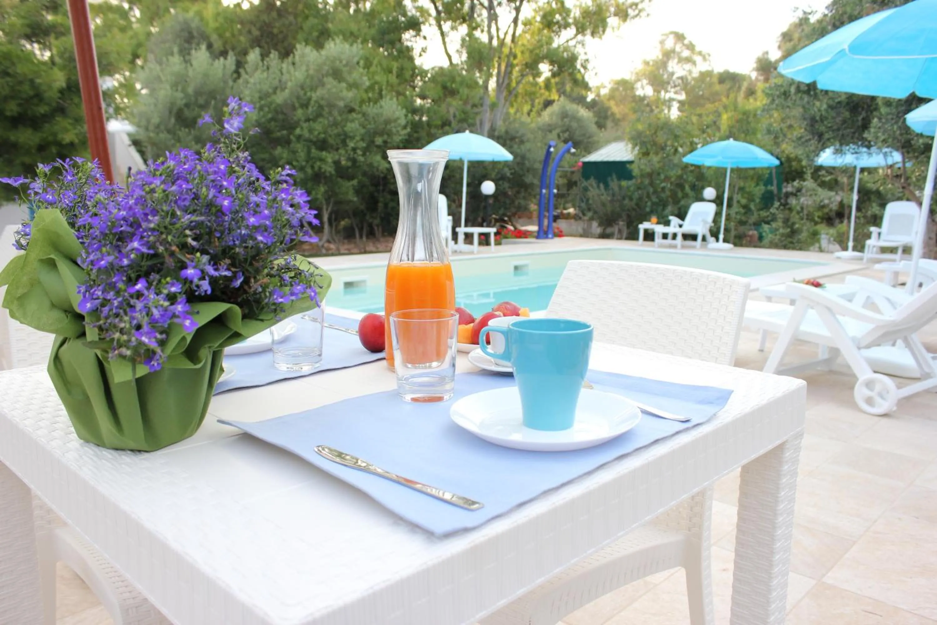 Garden view in Verdeblu