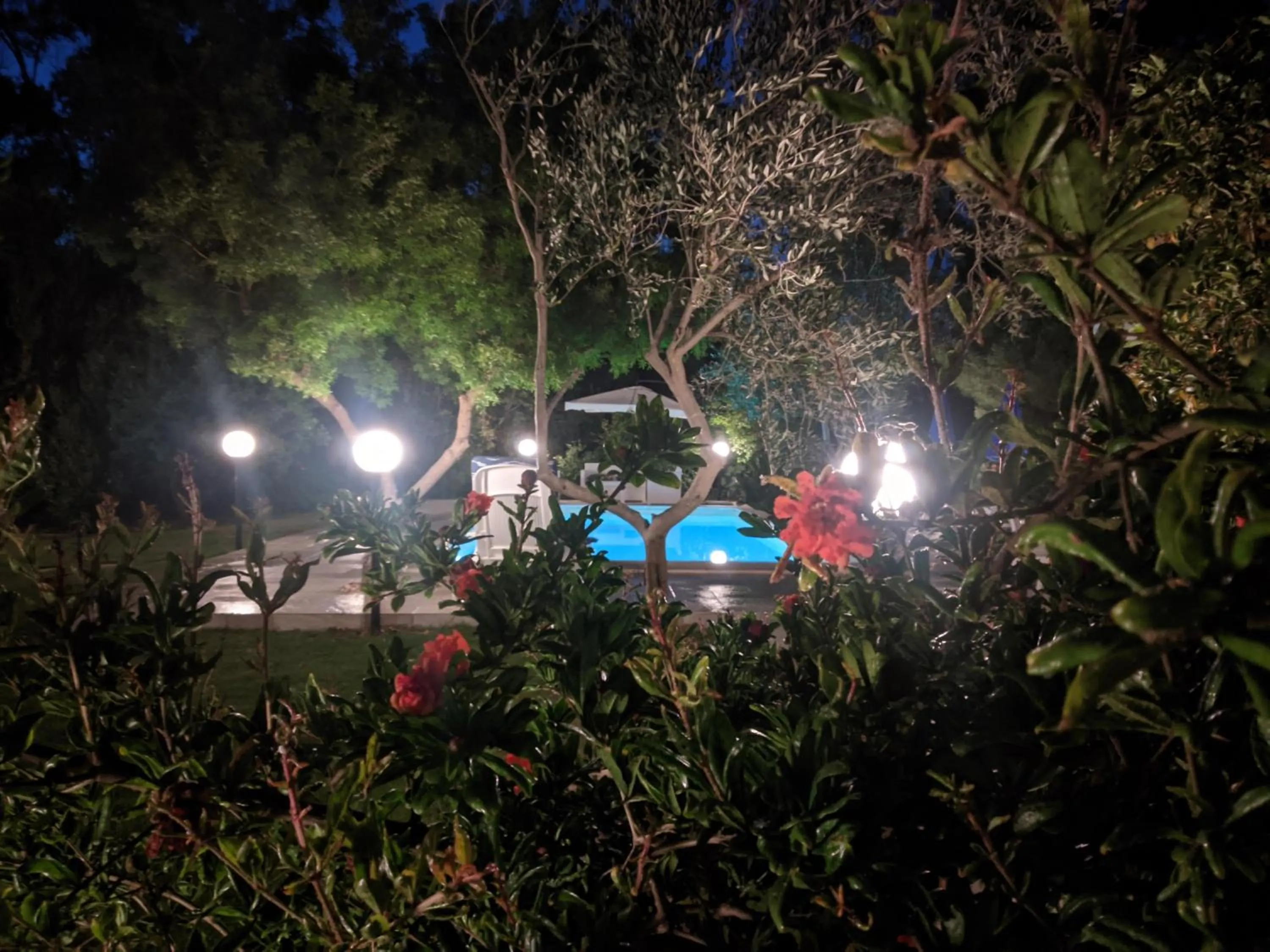 Swimming pool in Verdeblu