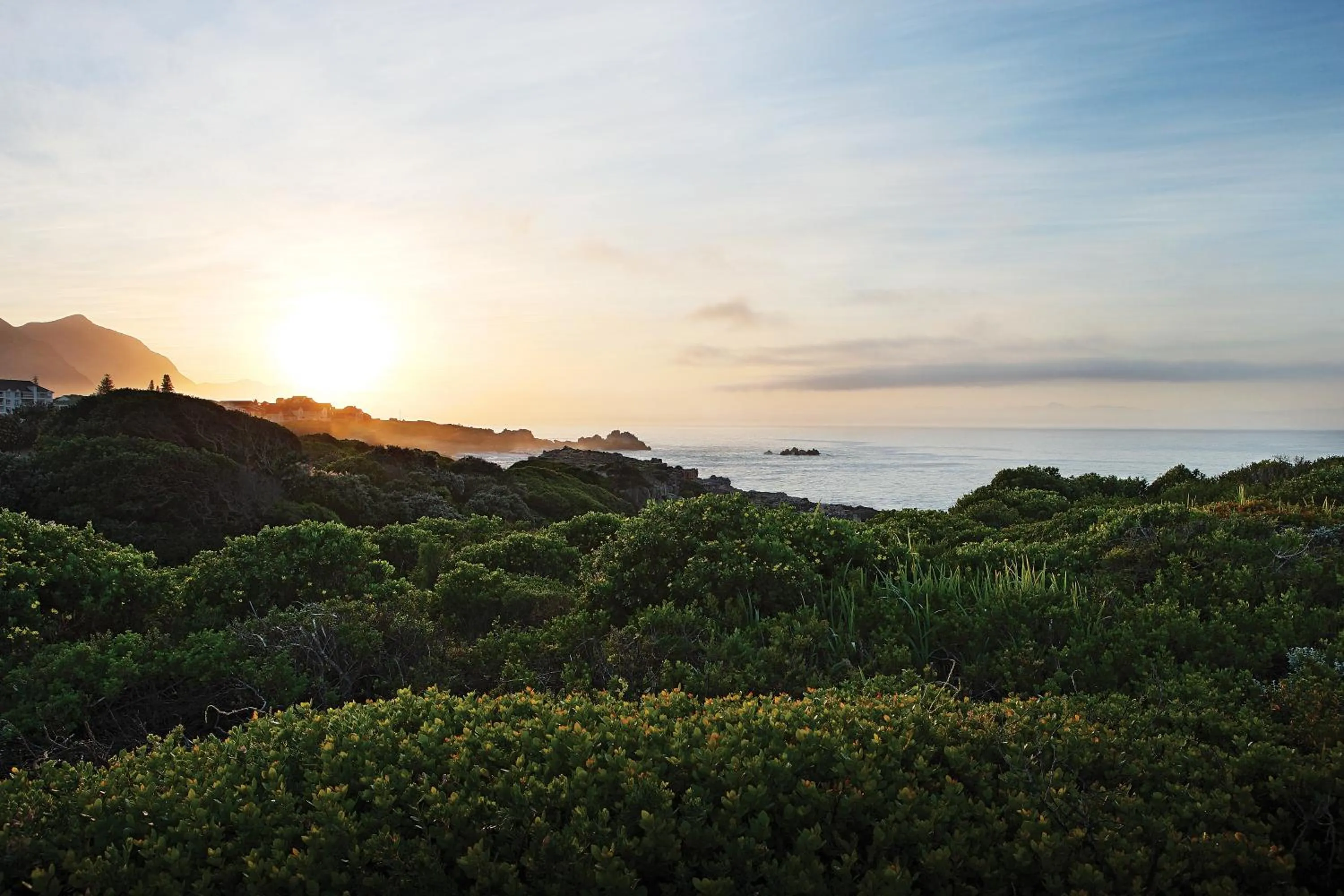 Natural landscape in One Marine Drive Boutique Hotel & Spa by The Living Journey Collection