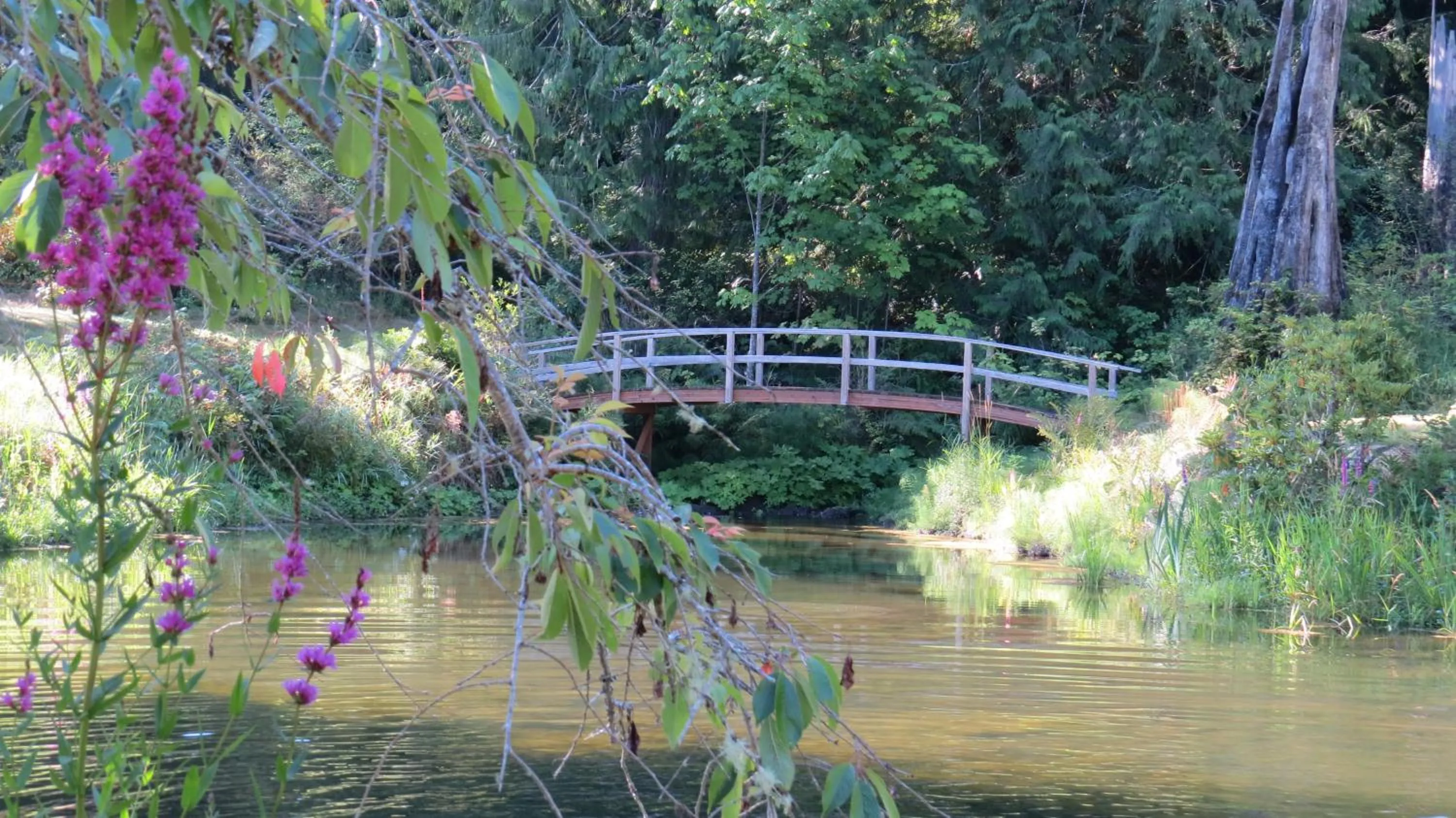 Property building in A Hidden Haven Cottages