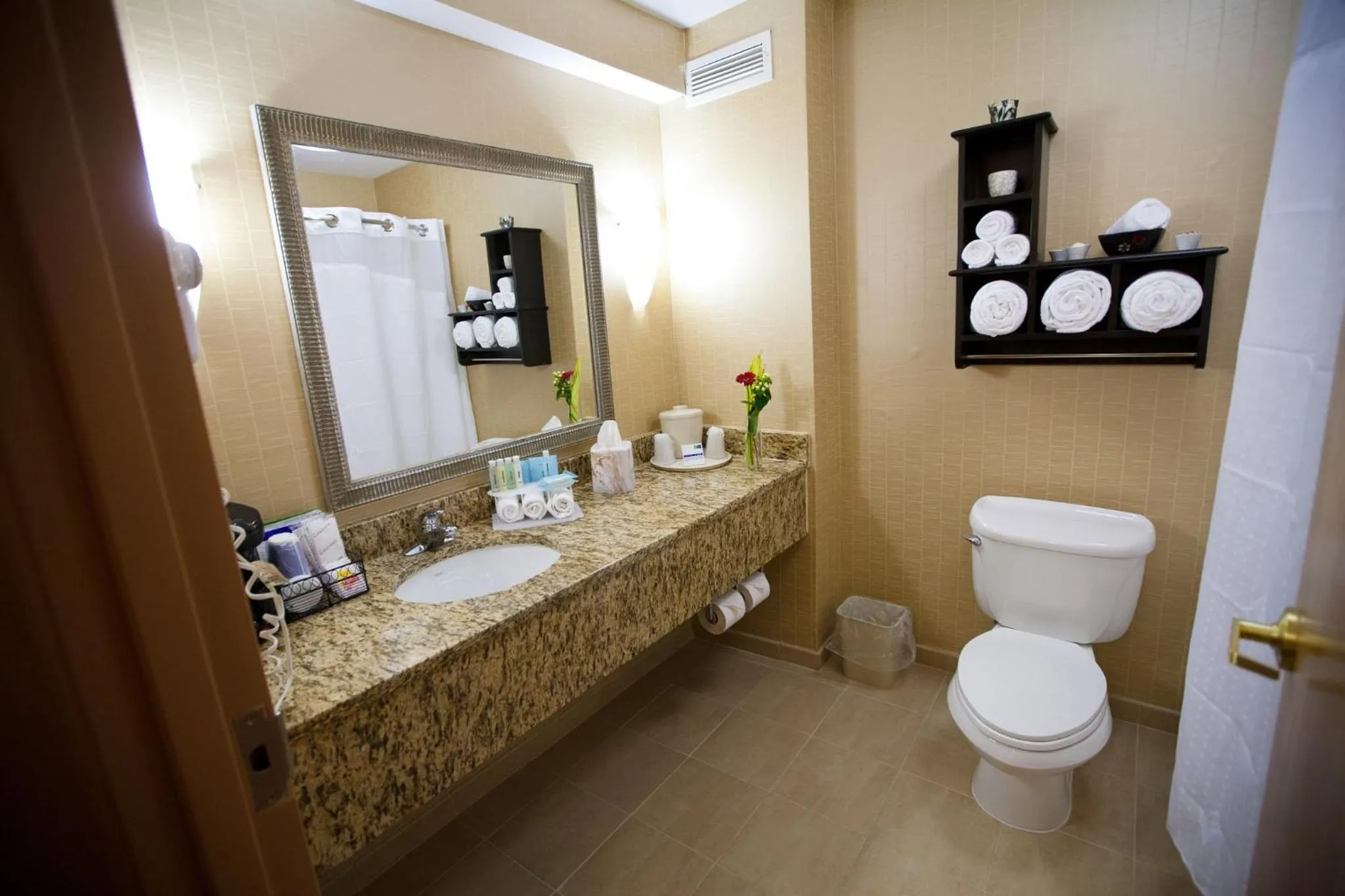 Bathroom in Holiday Inn Express Hotel & Suites Vineland Millville by IHG