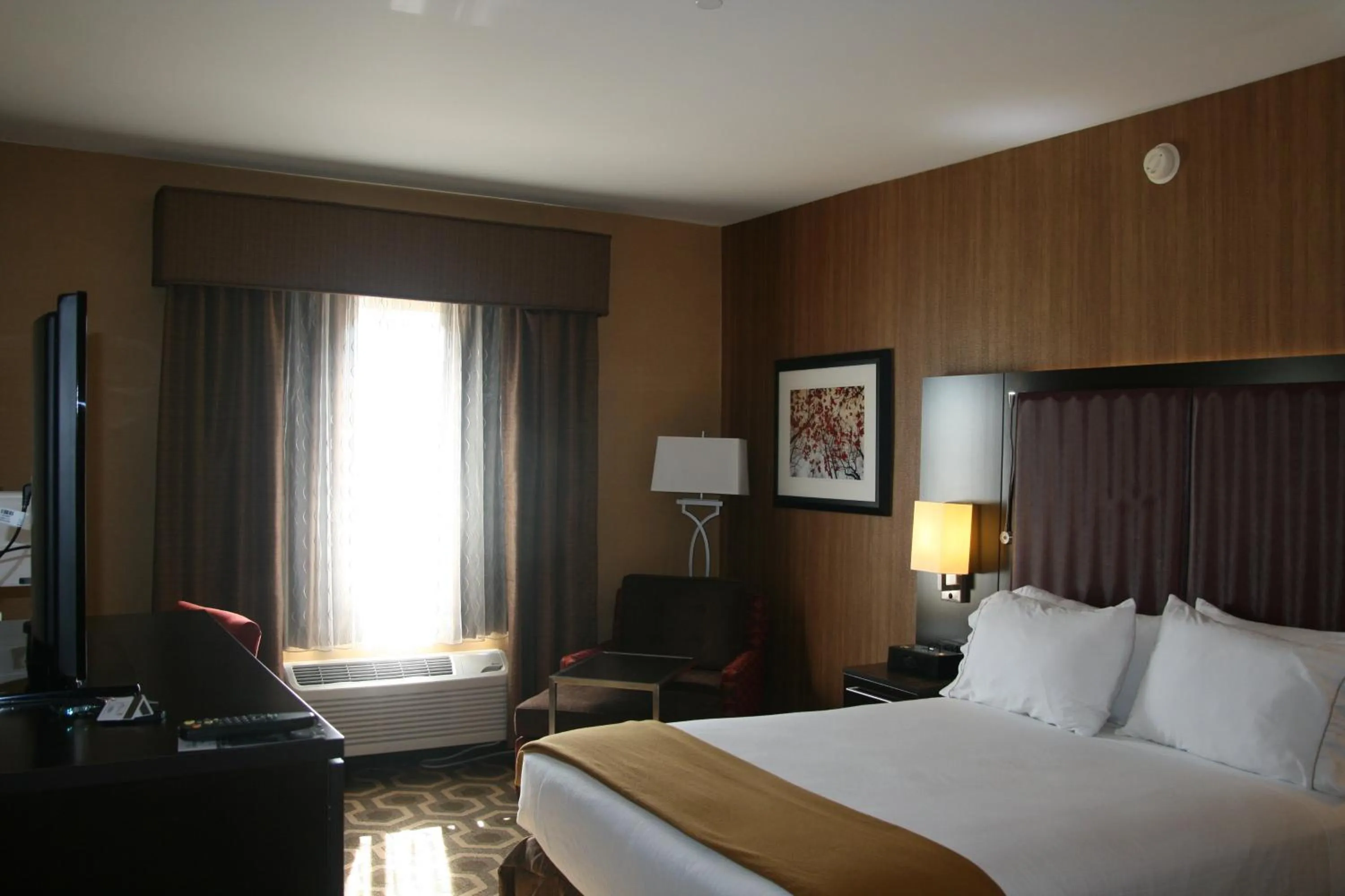 Photo of the whole room, Bed in Holiday Inn Express Hotel & Suites Vineland Millville by IHG
