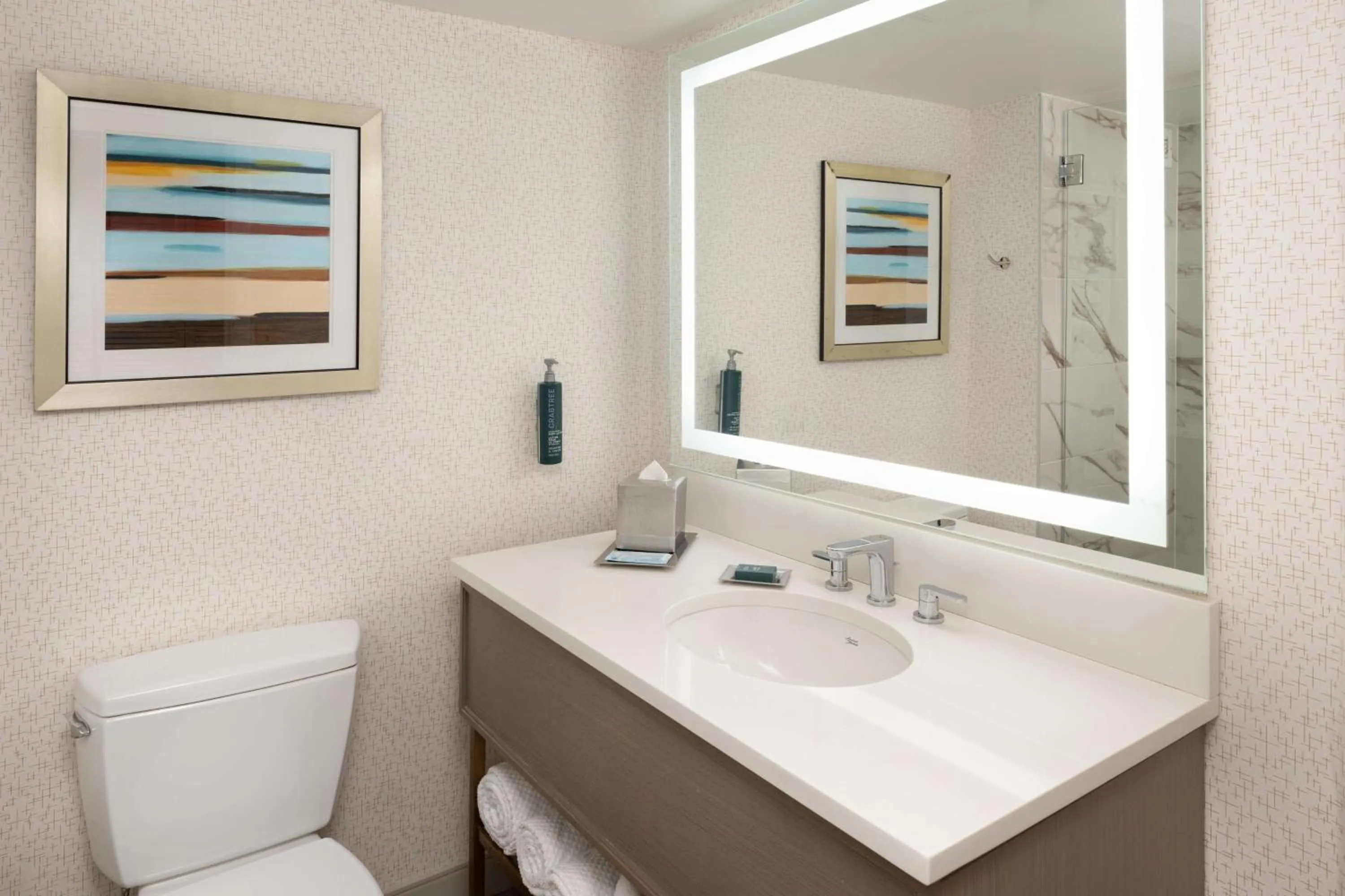 Bathroom in Hilton Durham near Duke University