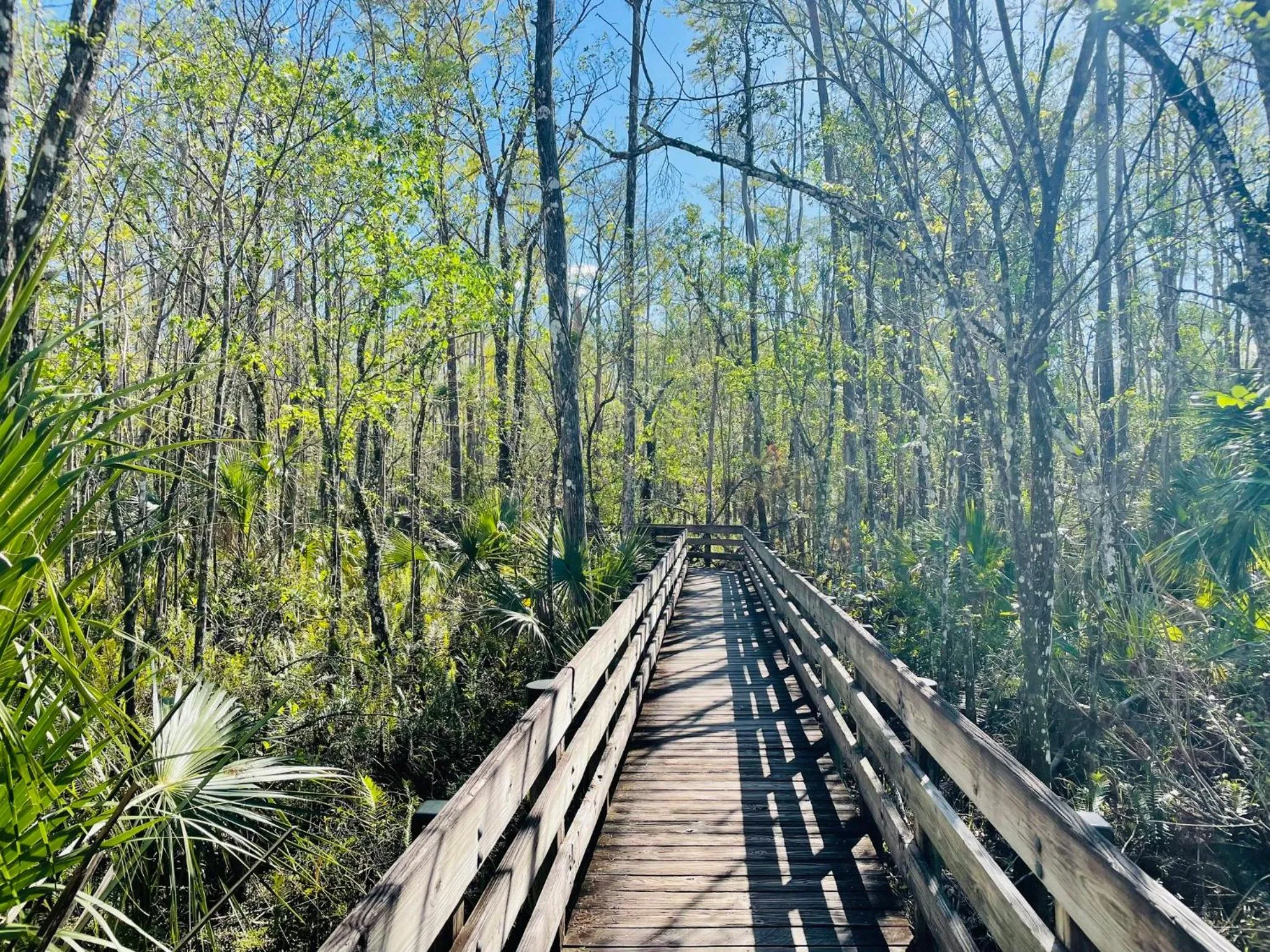 Nearby landmark in Crowne Plaza Ft Myers Gulf Coast by IHG