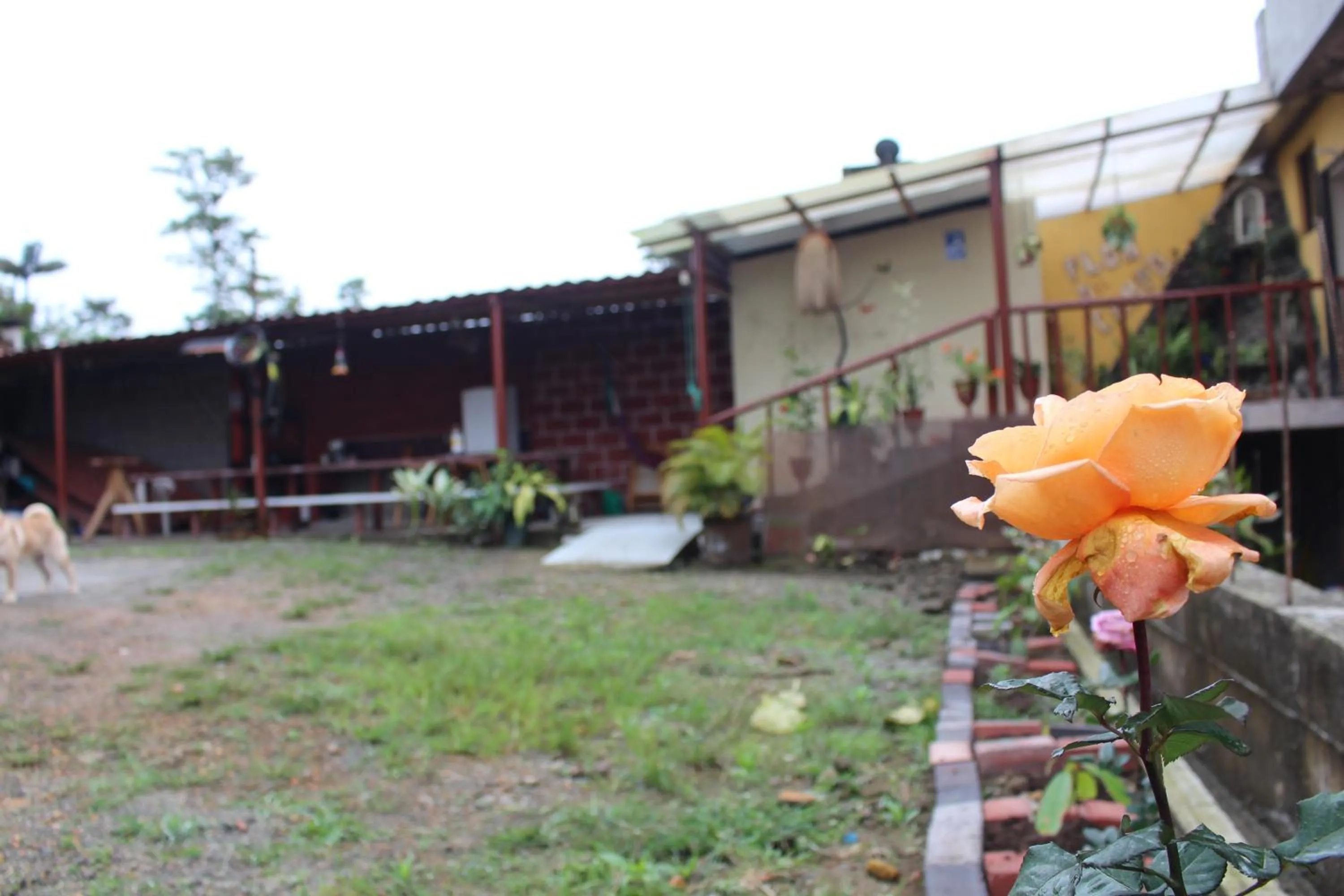 Property building in Hotel Flor Del Campo