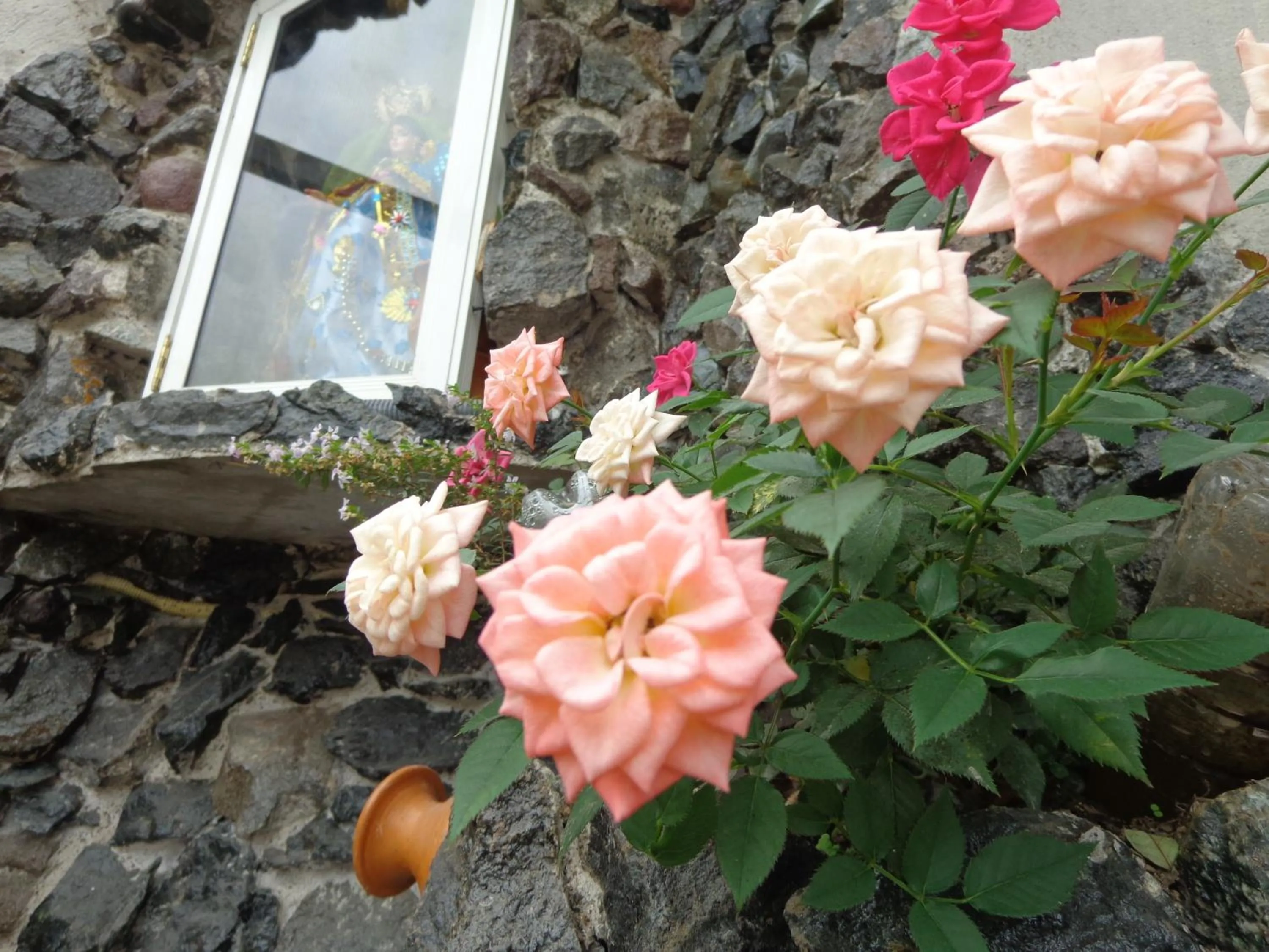 Hotel Flor Del Campo