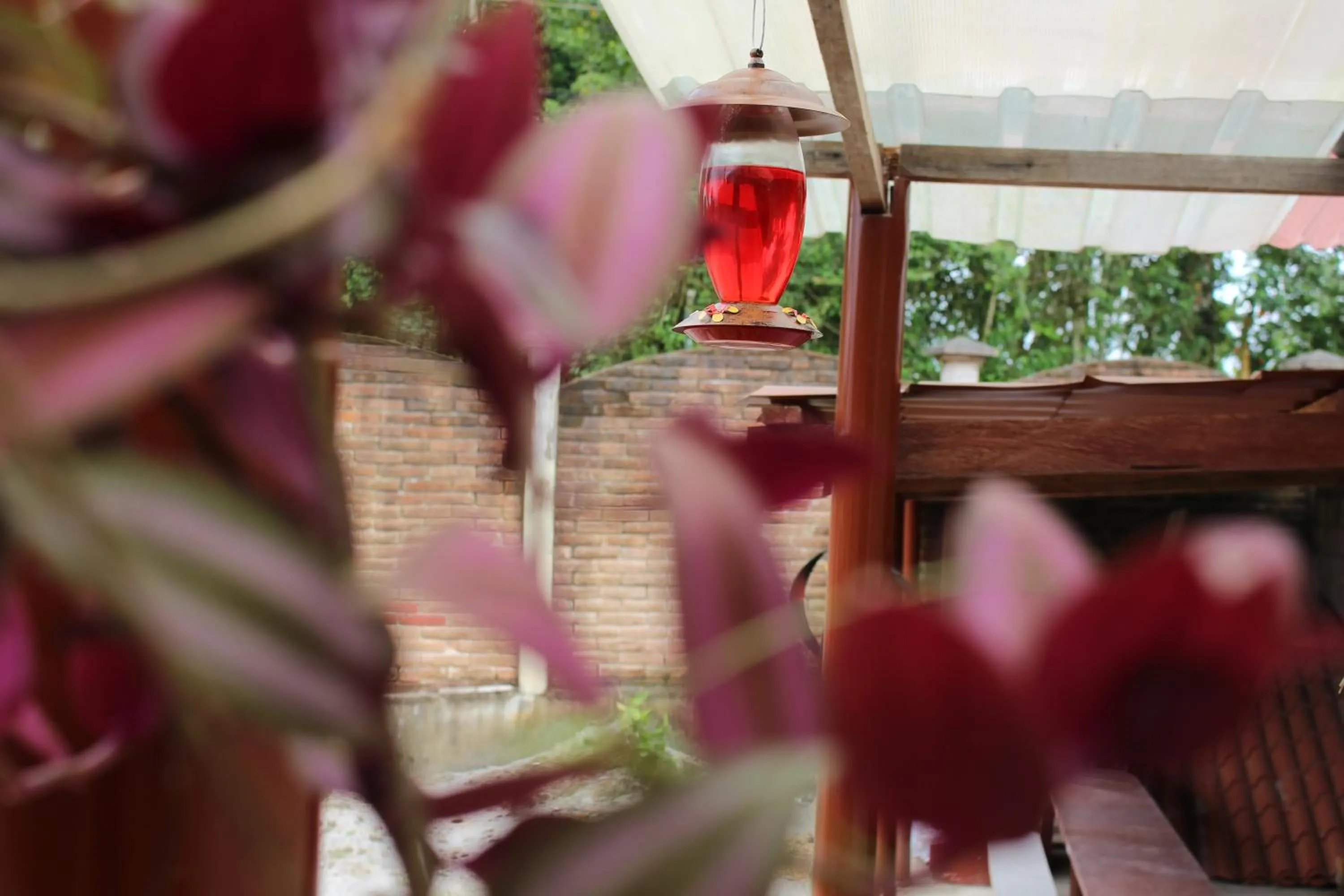 BBQ facilities in Hotel Flor Del Campo