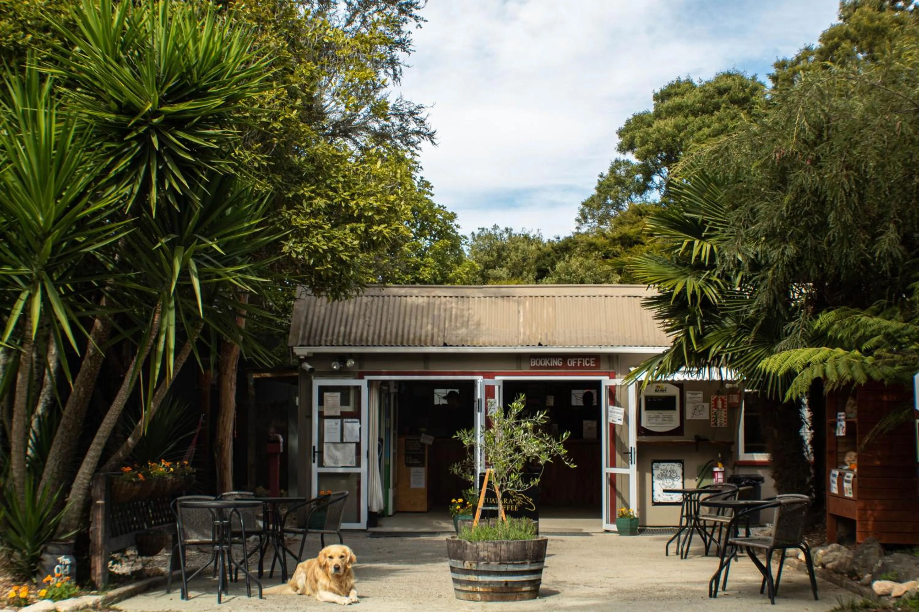 Lobby or reception in The Barn Cabins & Camp