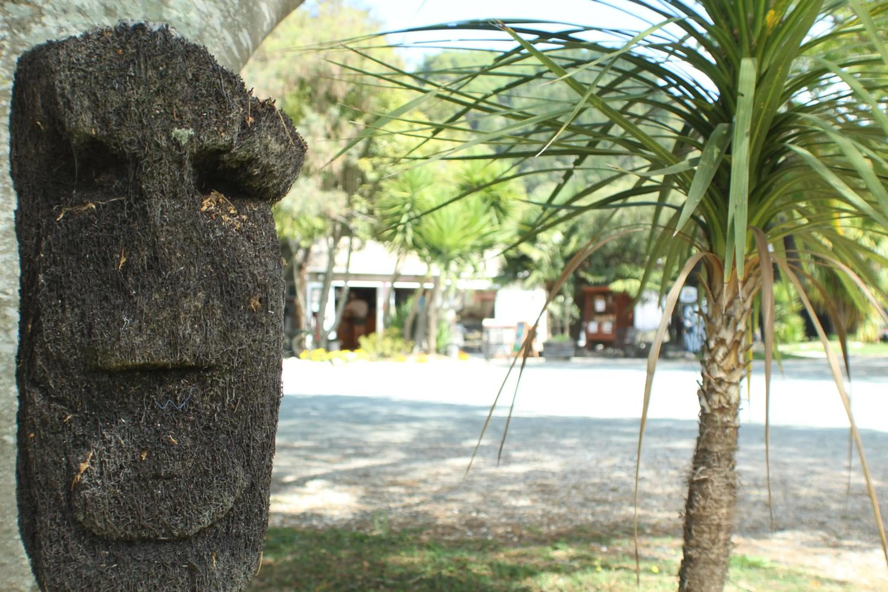 Garden in The Barn Cabins & Camp