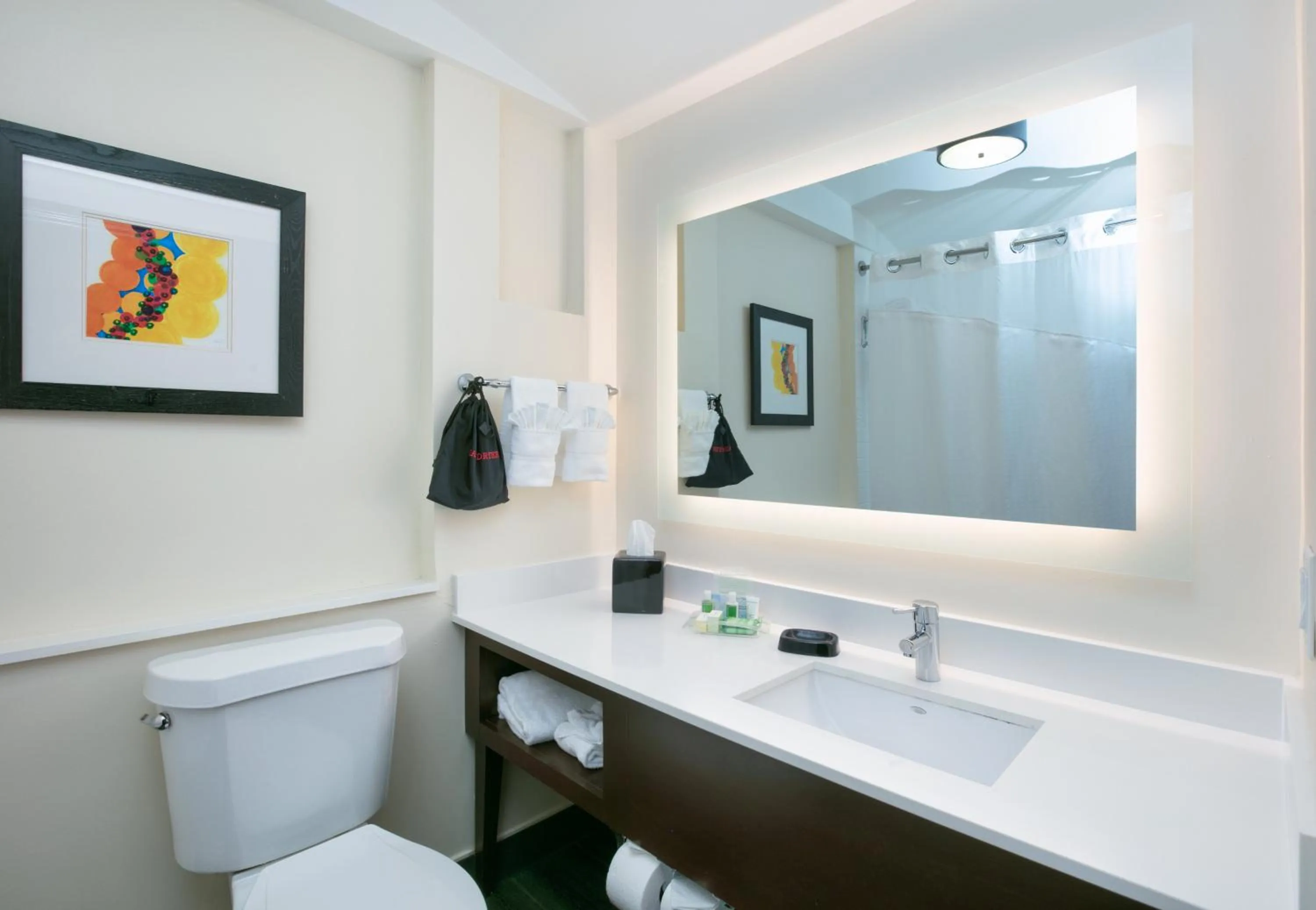 Bathroom in Holiday Inn Dallas - Fort Worth Airport South by IHG