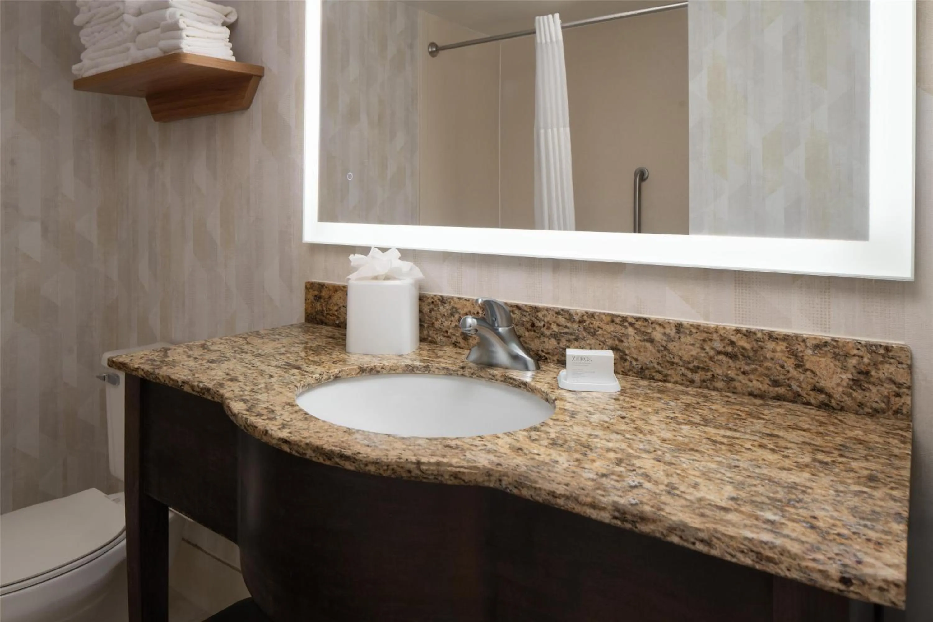 Bathroom in Hampton Inn Hopewell Fort Gregg-Adams