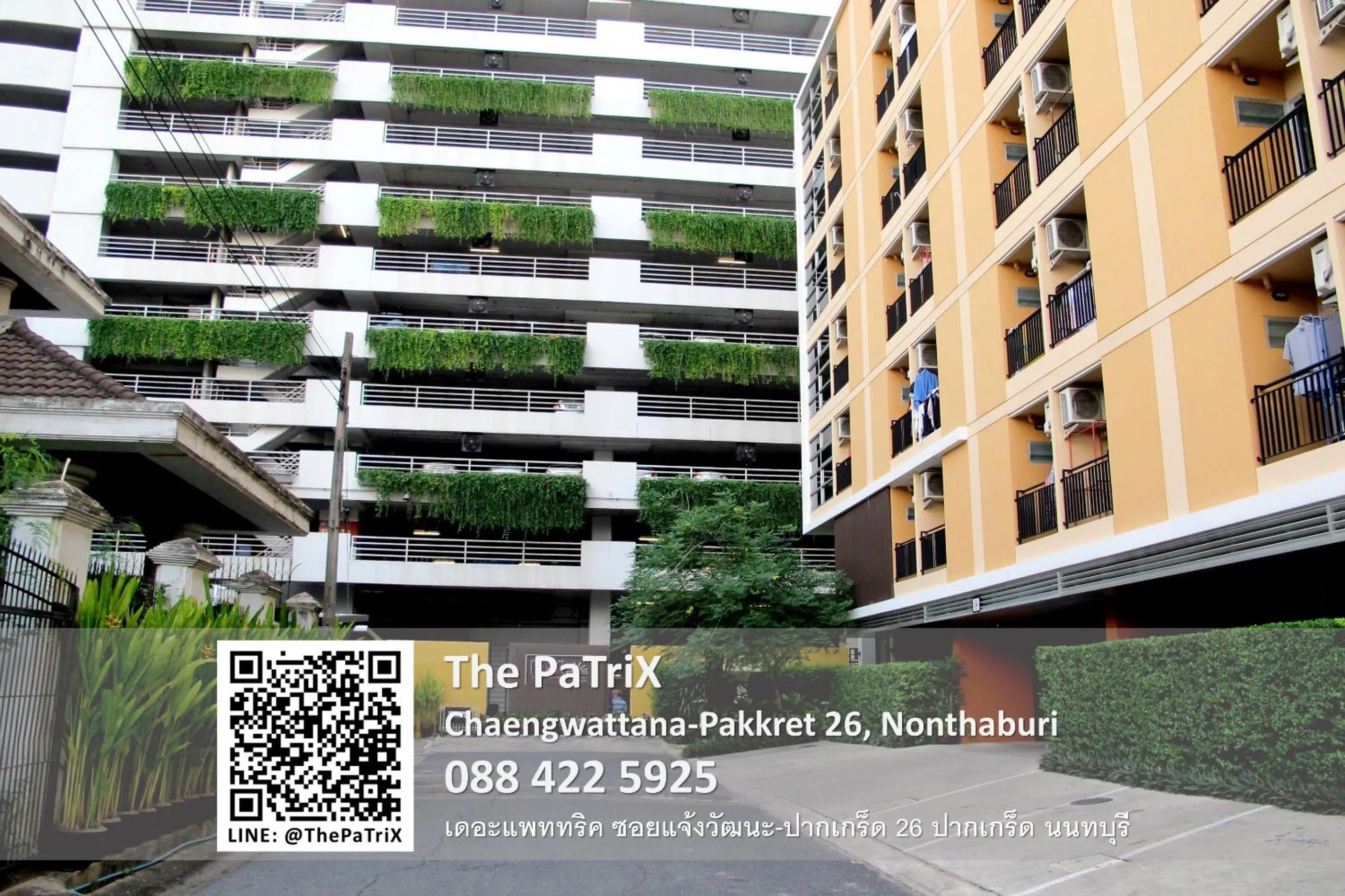 Day in The PaTriX Chaengwattana