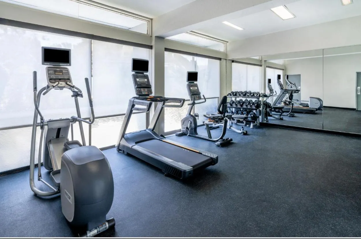 Fitness centre/facilities in Holiday Inn Dublin - Pleasanton by IHG