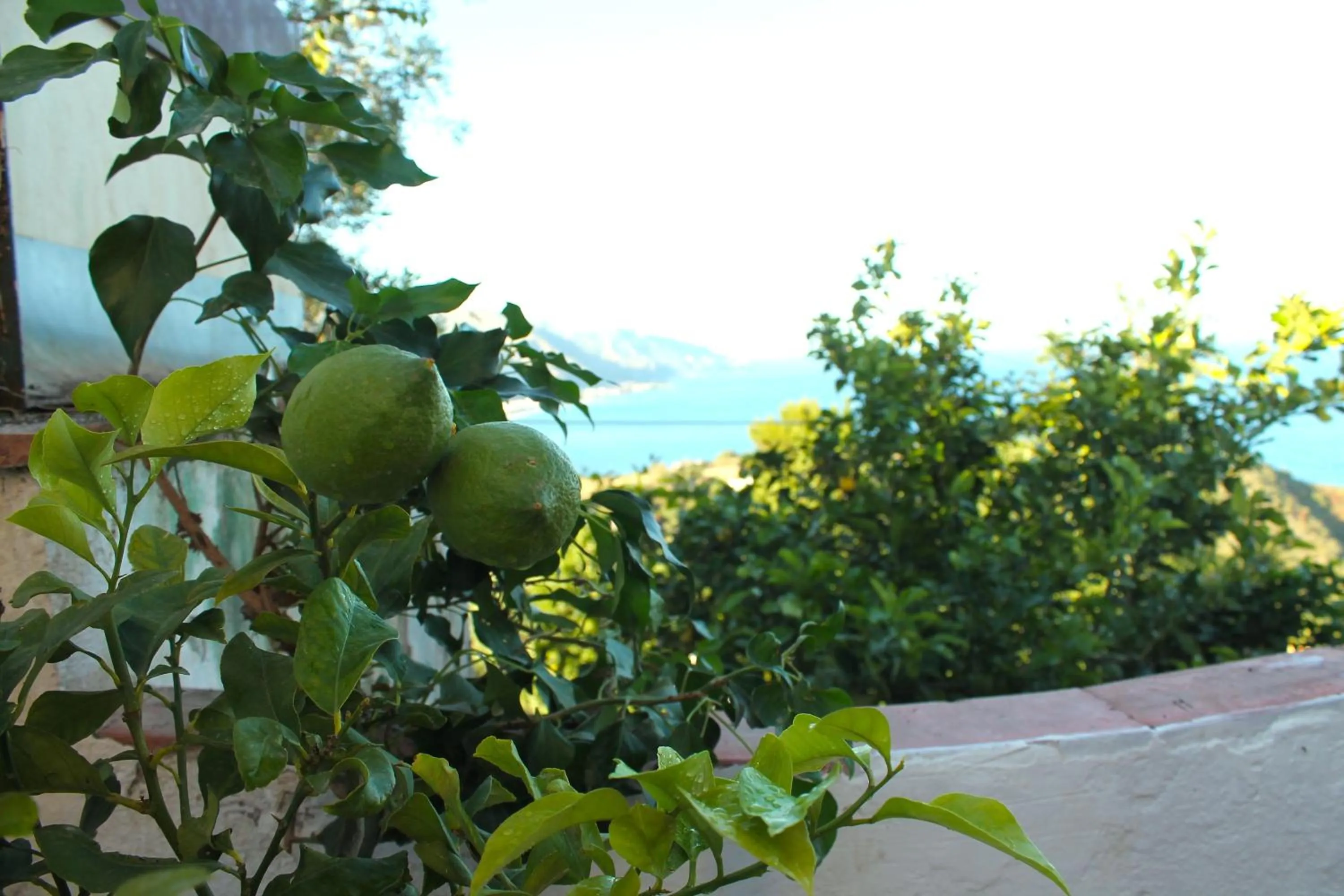 Decorative detail in La Via del Mare