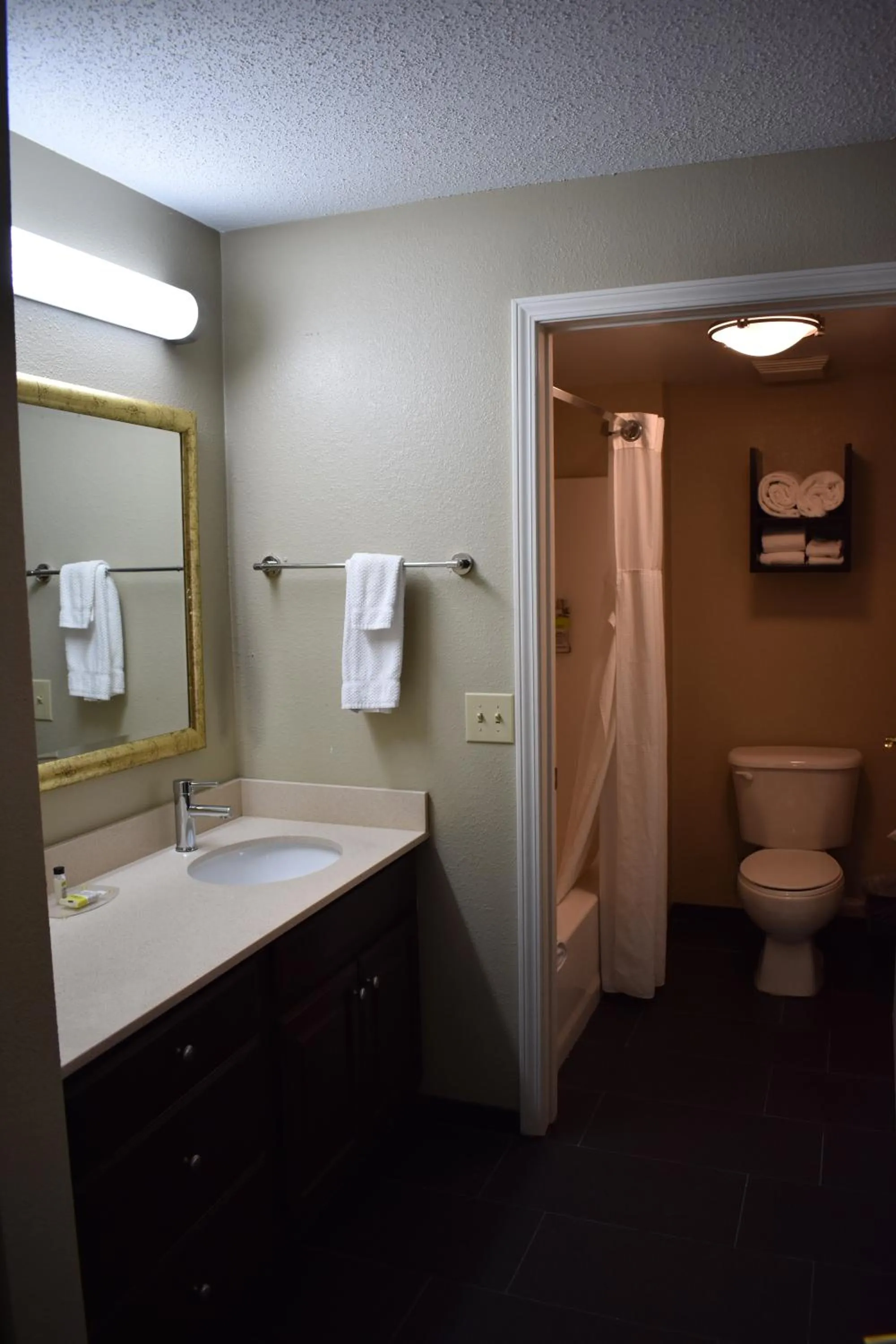 Bathroom in Staybridge Suites Cranbury - South Brunswick by IHG