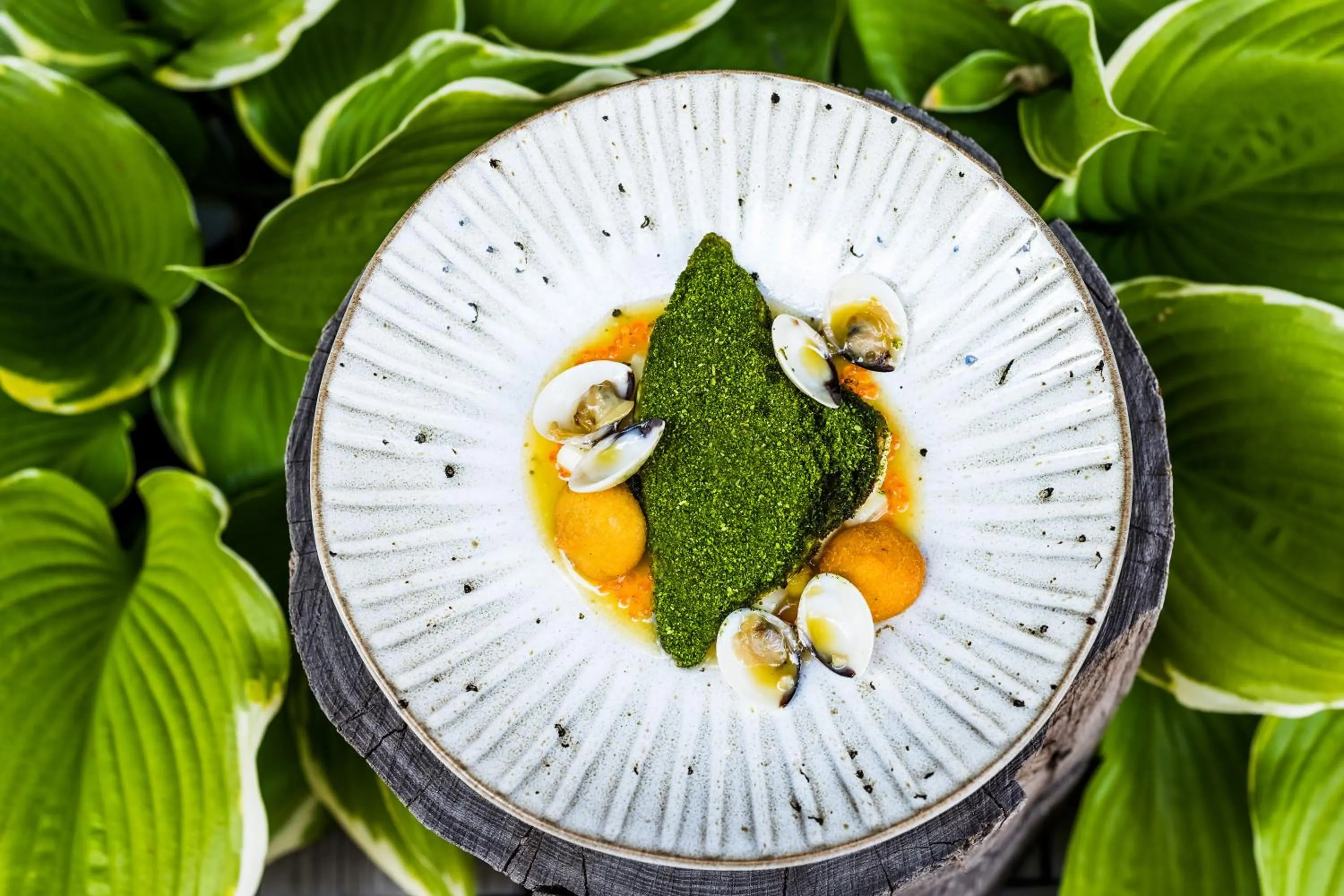 City Park Hotel & Residence