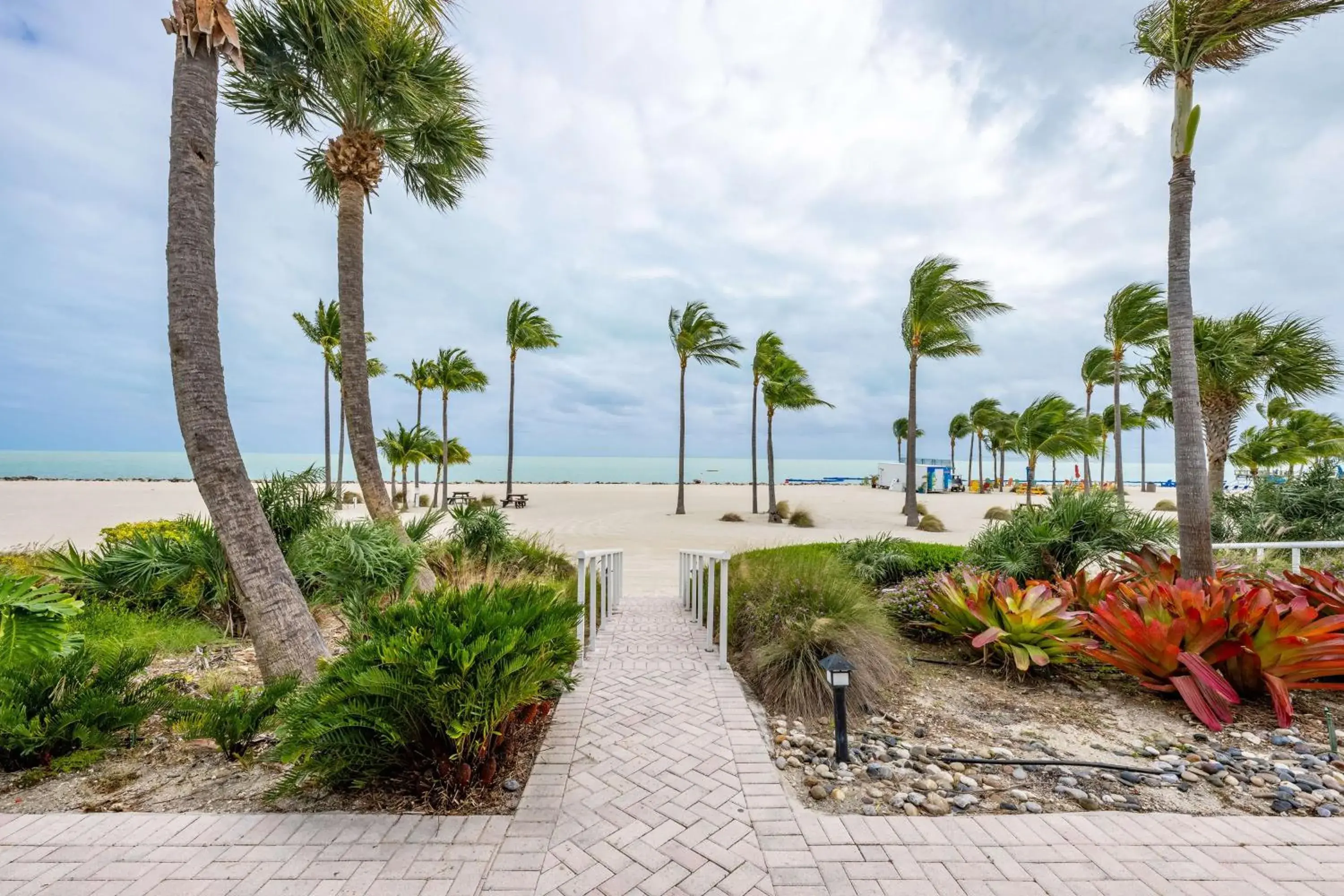 1 King Bed Suite Buttonwood in Islander Resort 1 King Bed Suite Buttonwood in Islander Resort
