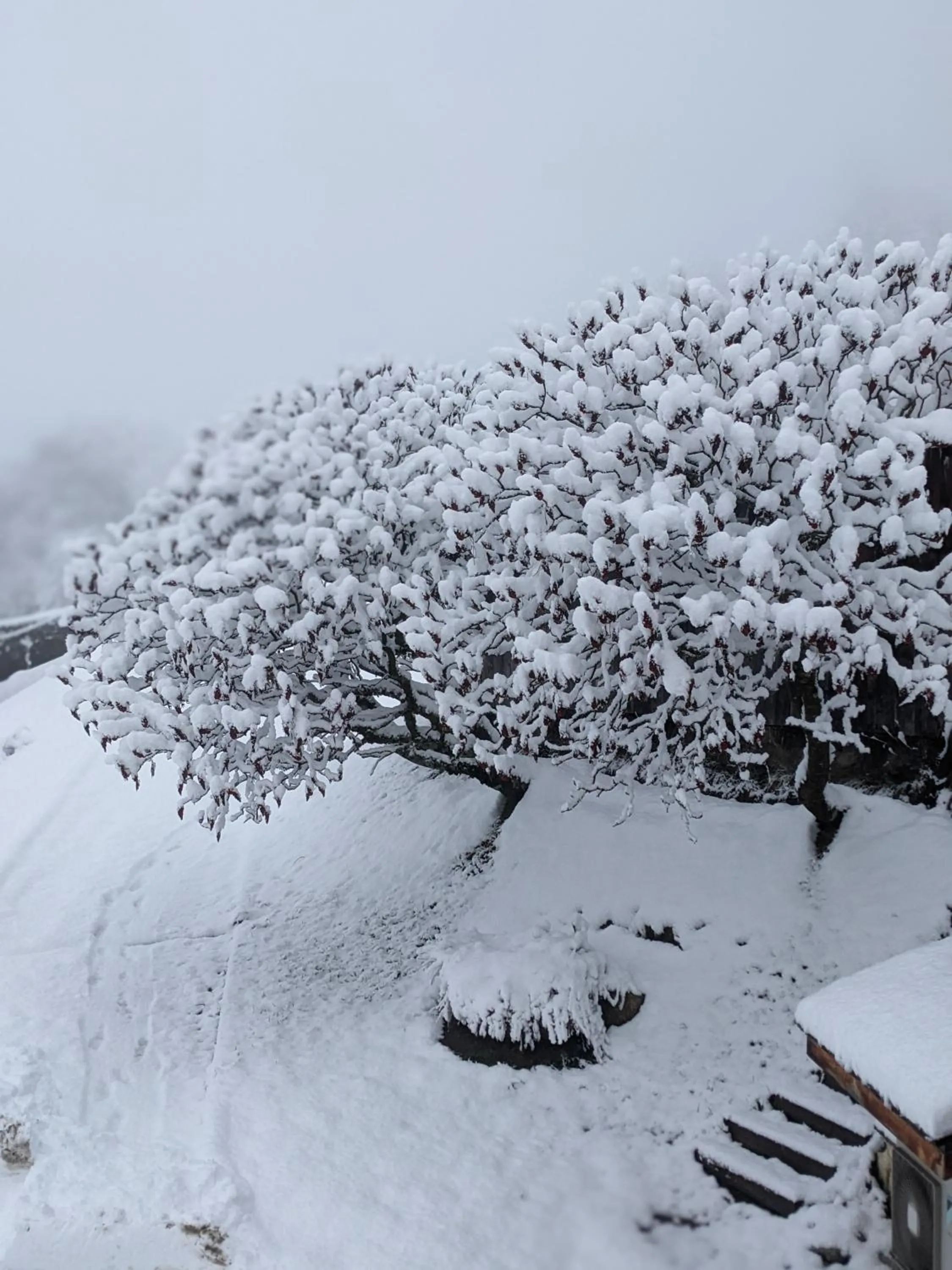 Chantemerle 1741, chambres d'hôtes à la montagne