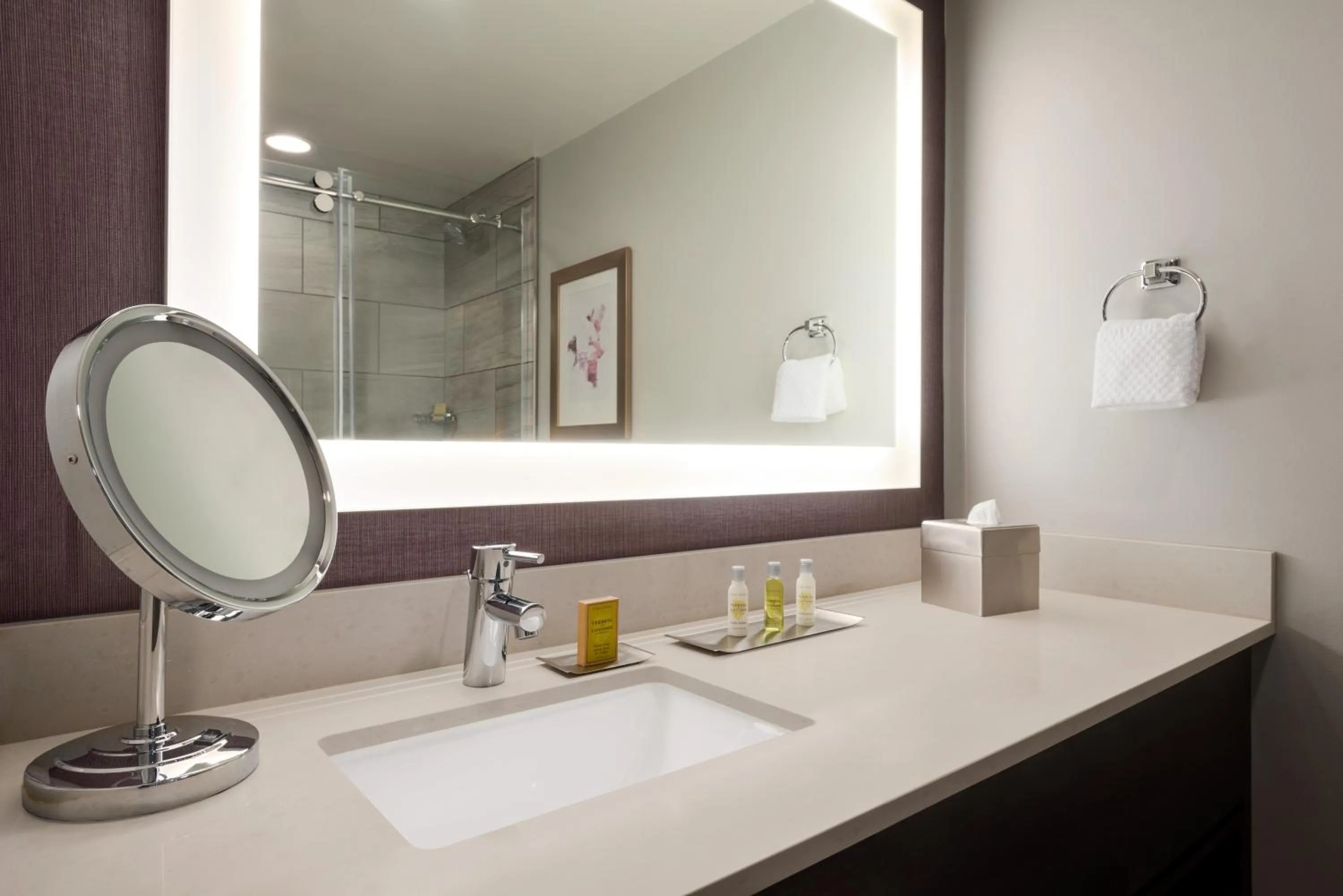 Shower in DoubleTree by Hilton St. Paul, MN