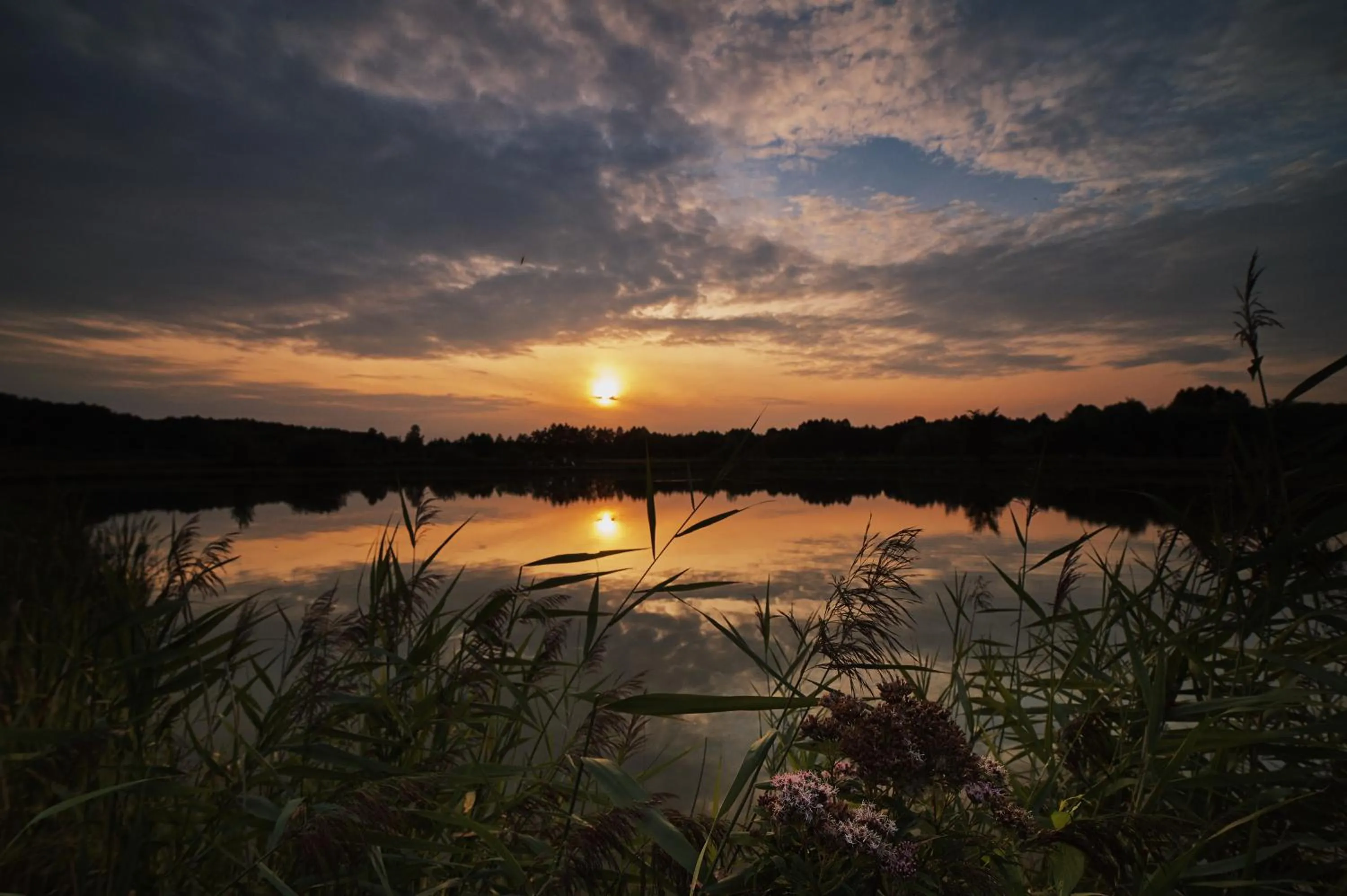 Natural landscape in Rancho