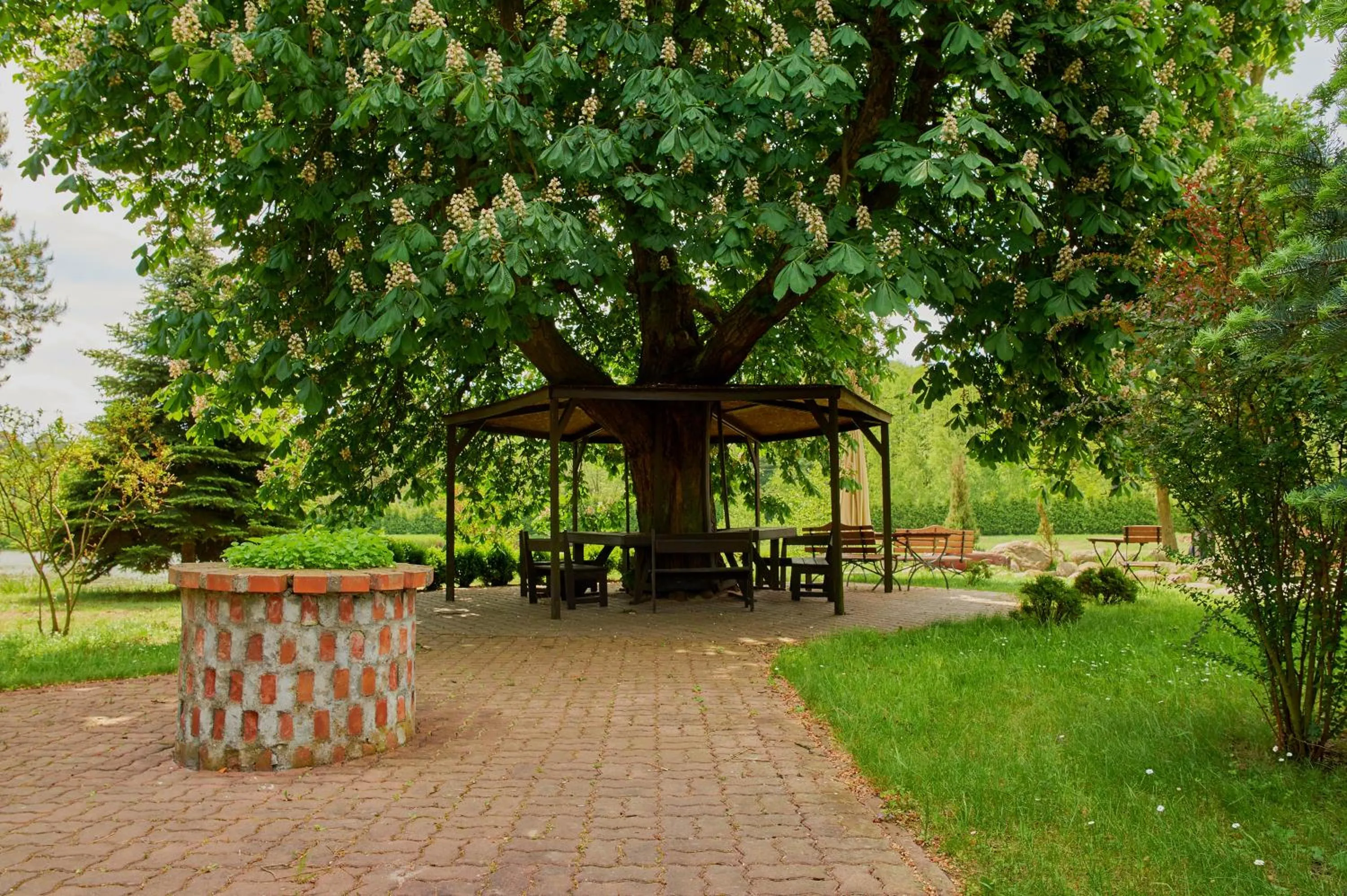 Neighbourhood in Rancho