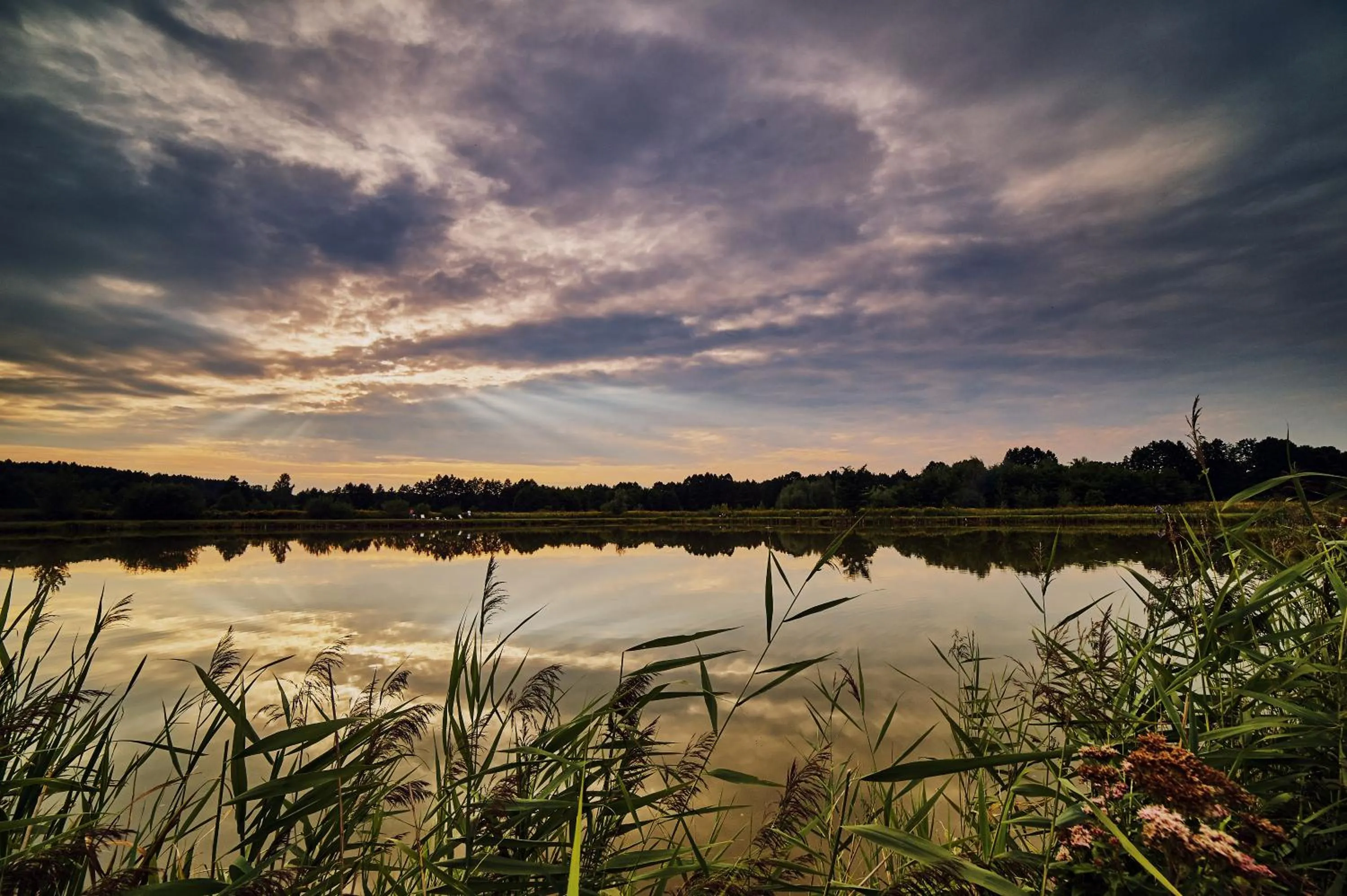 Neighbourhood in Rancho