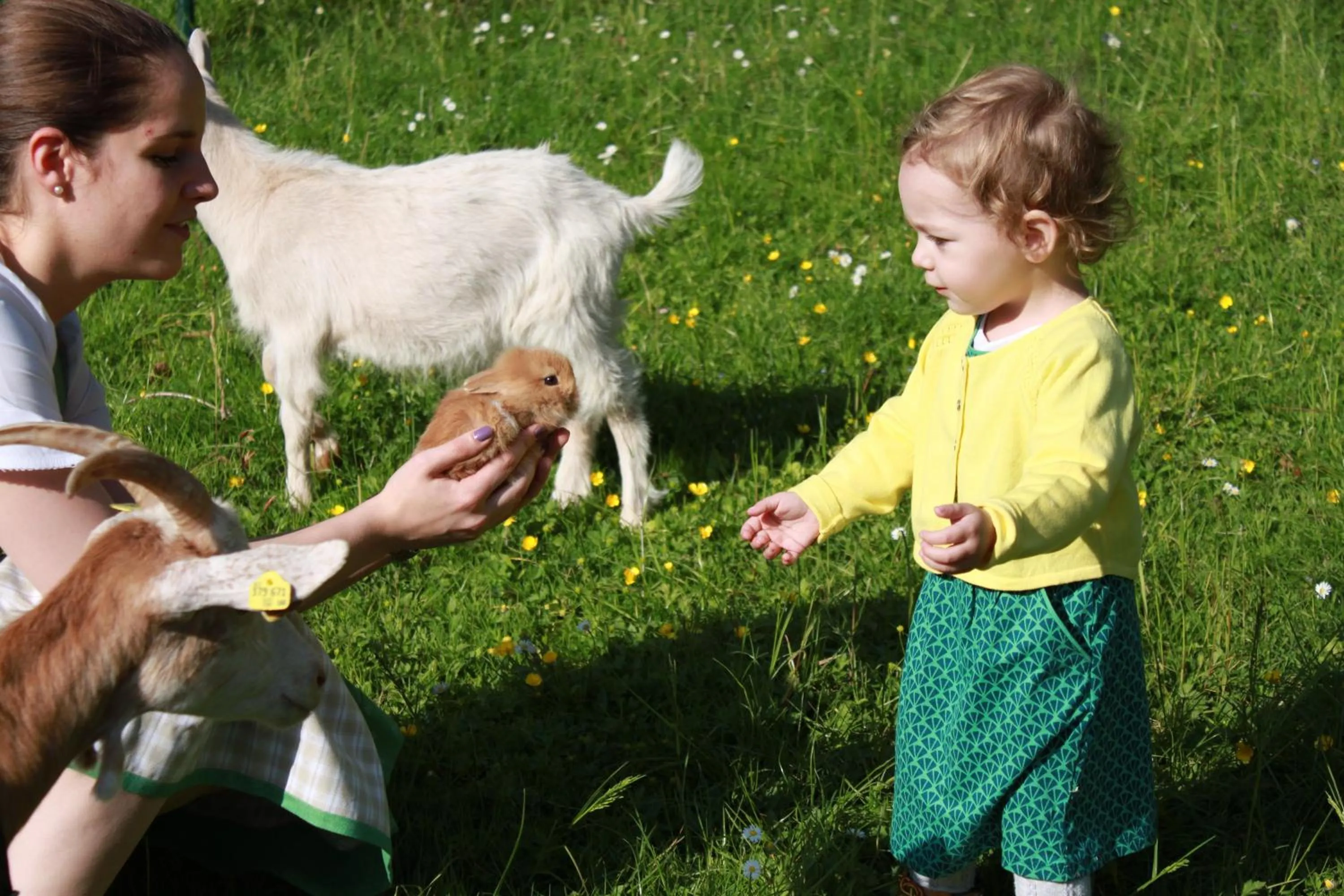 Kids's club in Dilly - Das Nationalpark Resort