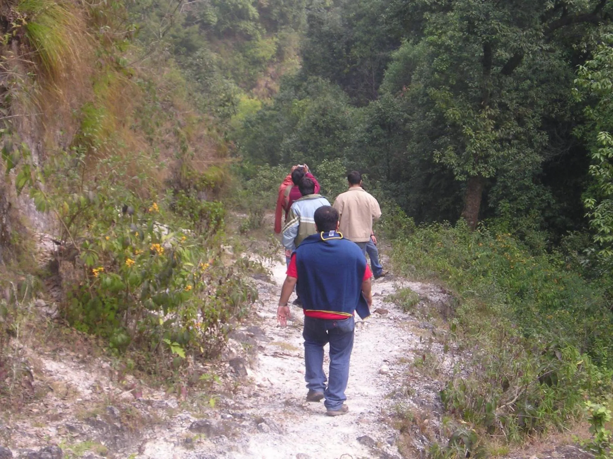 Property building in Jharipani Castle