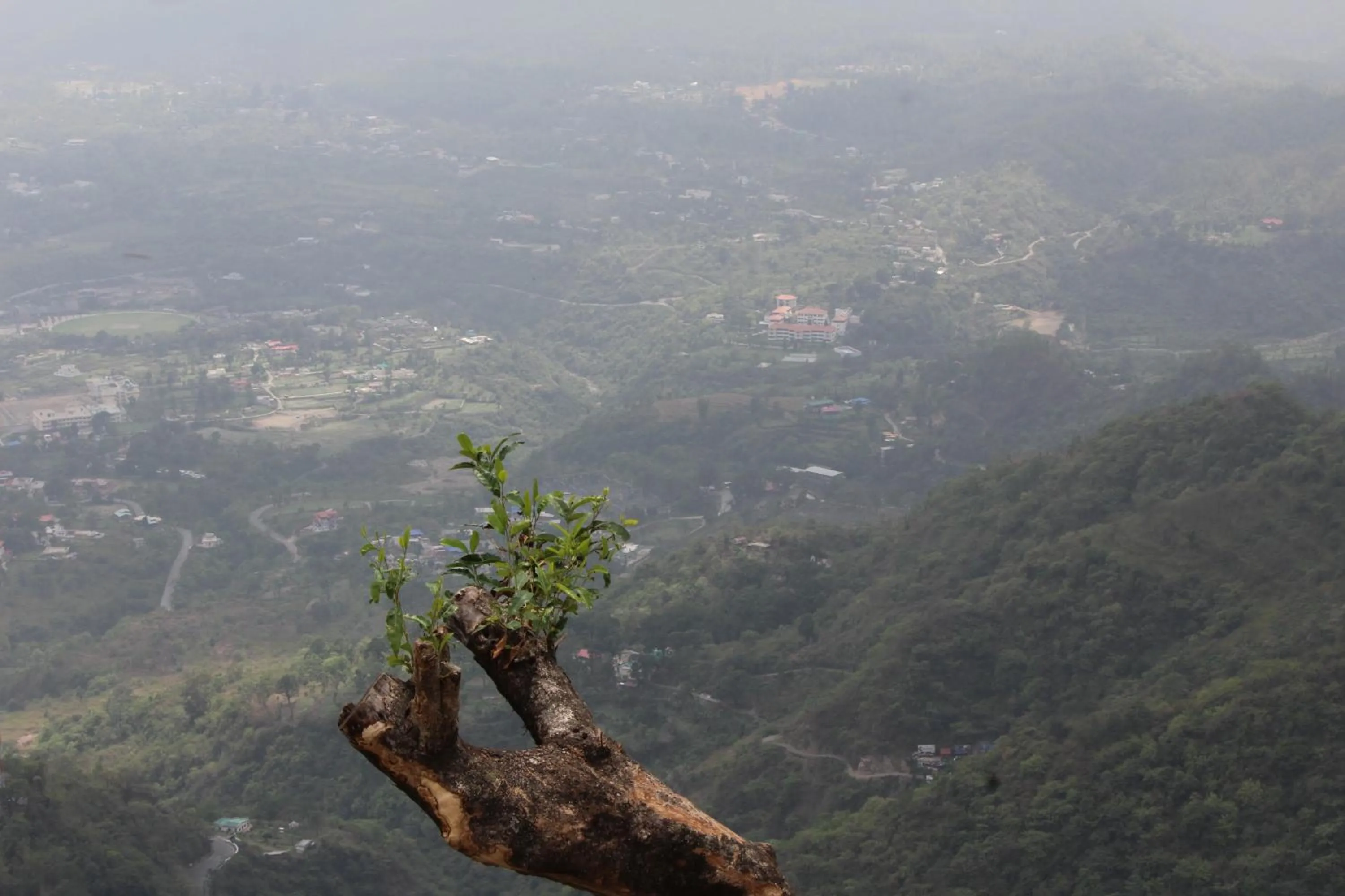 Property building in Jharipani Castle