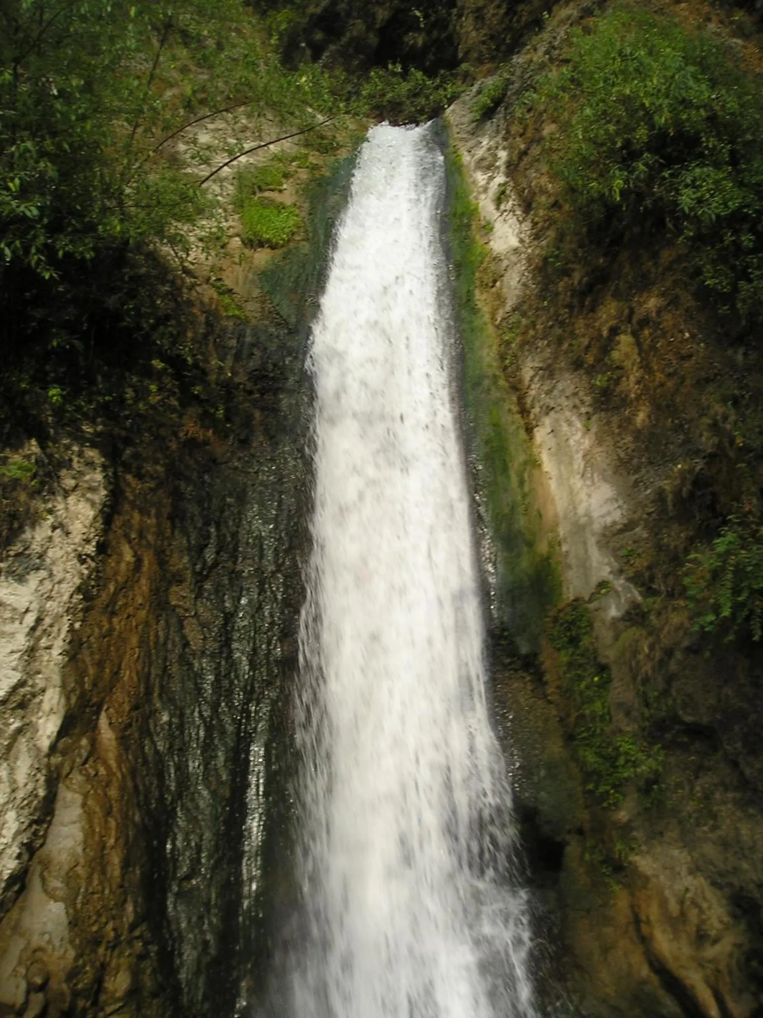 Property building in Jharipani Castle