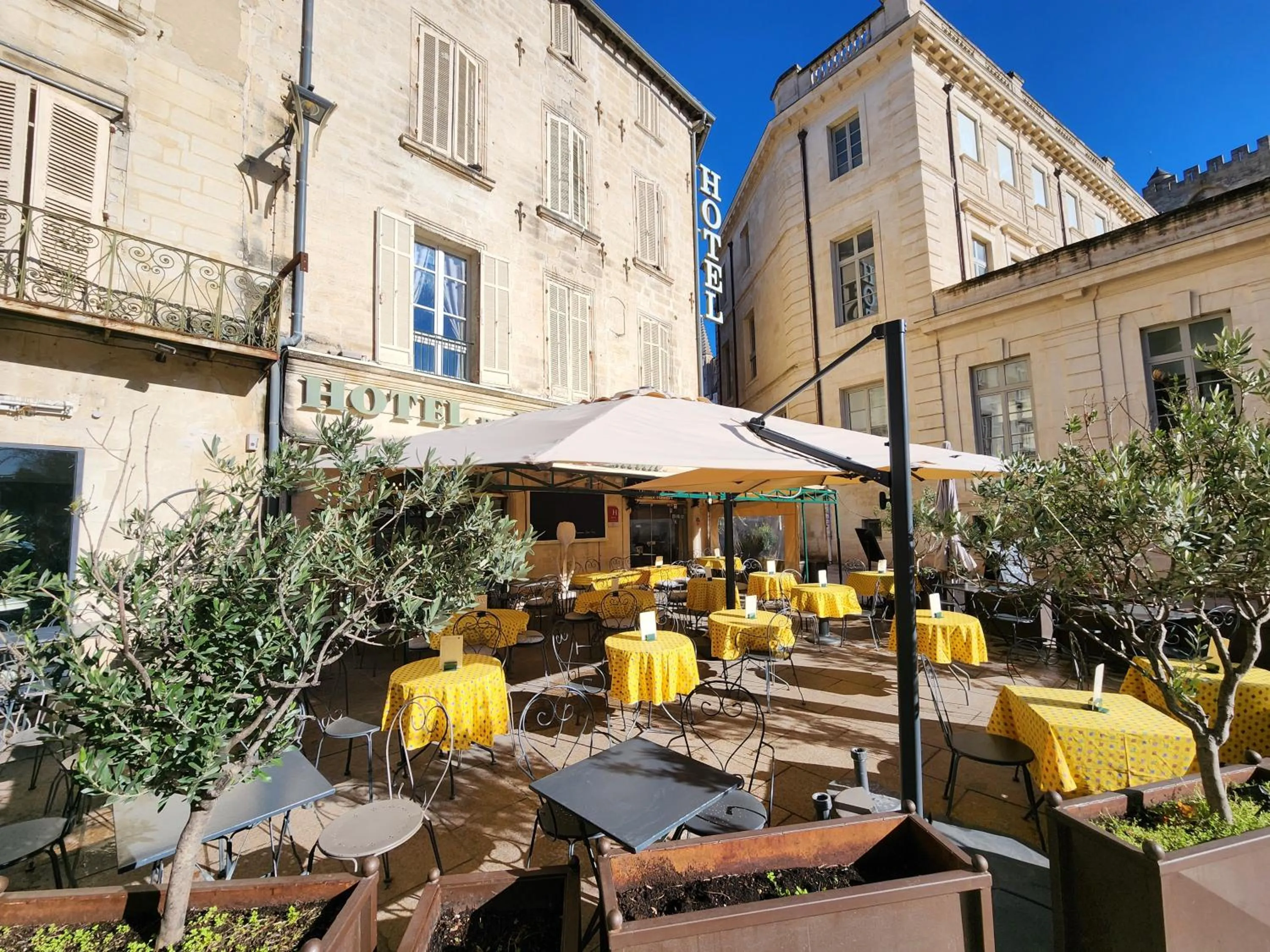 Restaurant/places to eat in Hôtel du Palais des Papes