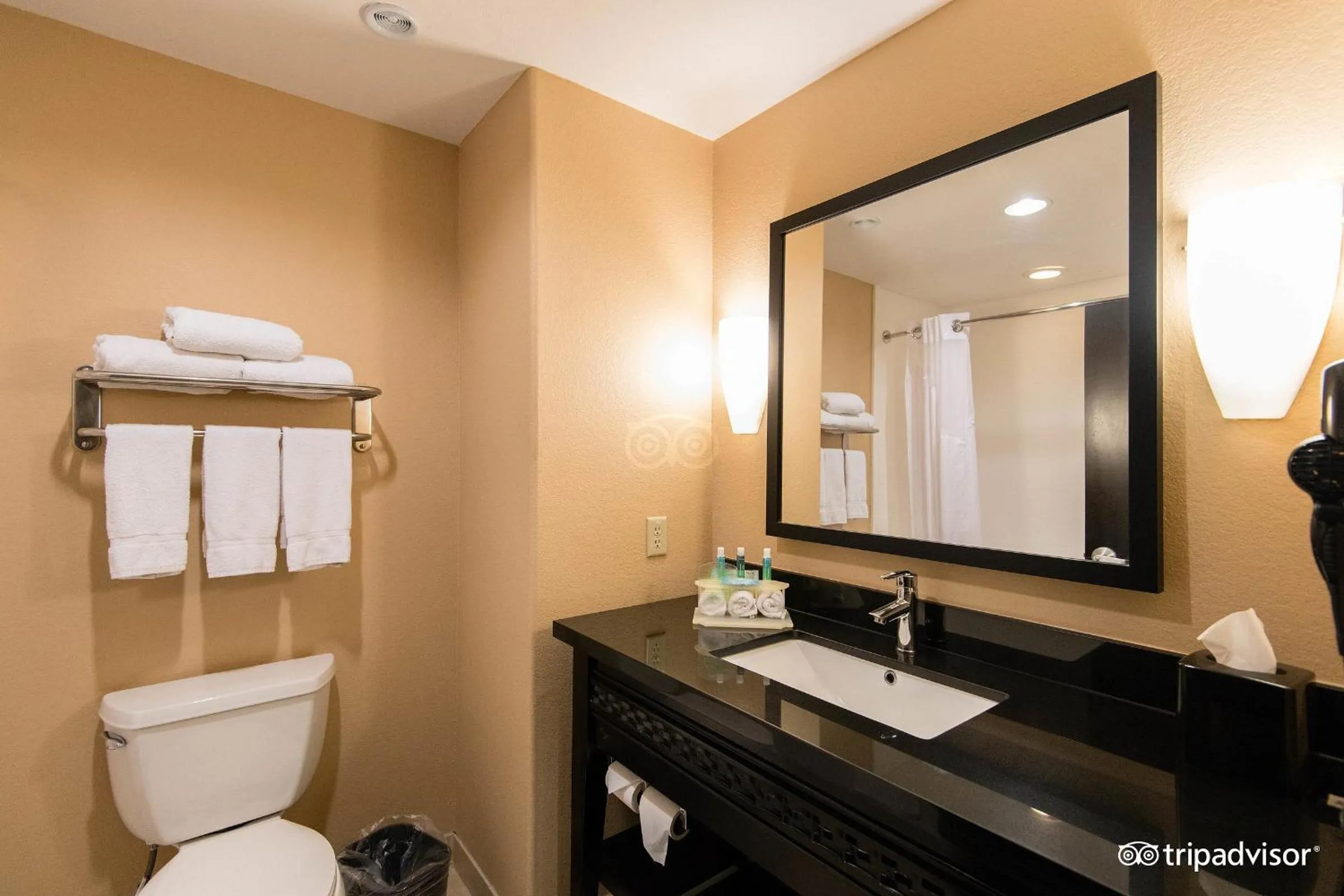 Bathroom in Comfort Inn & Suites Dallas Medical-Market Center