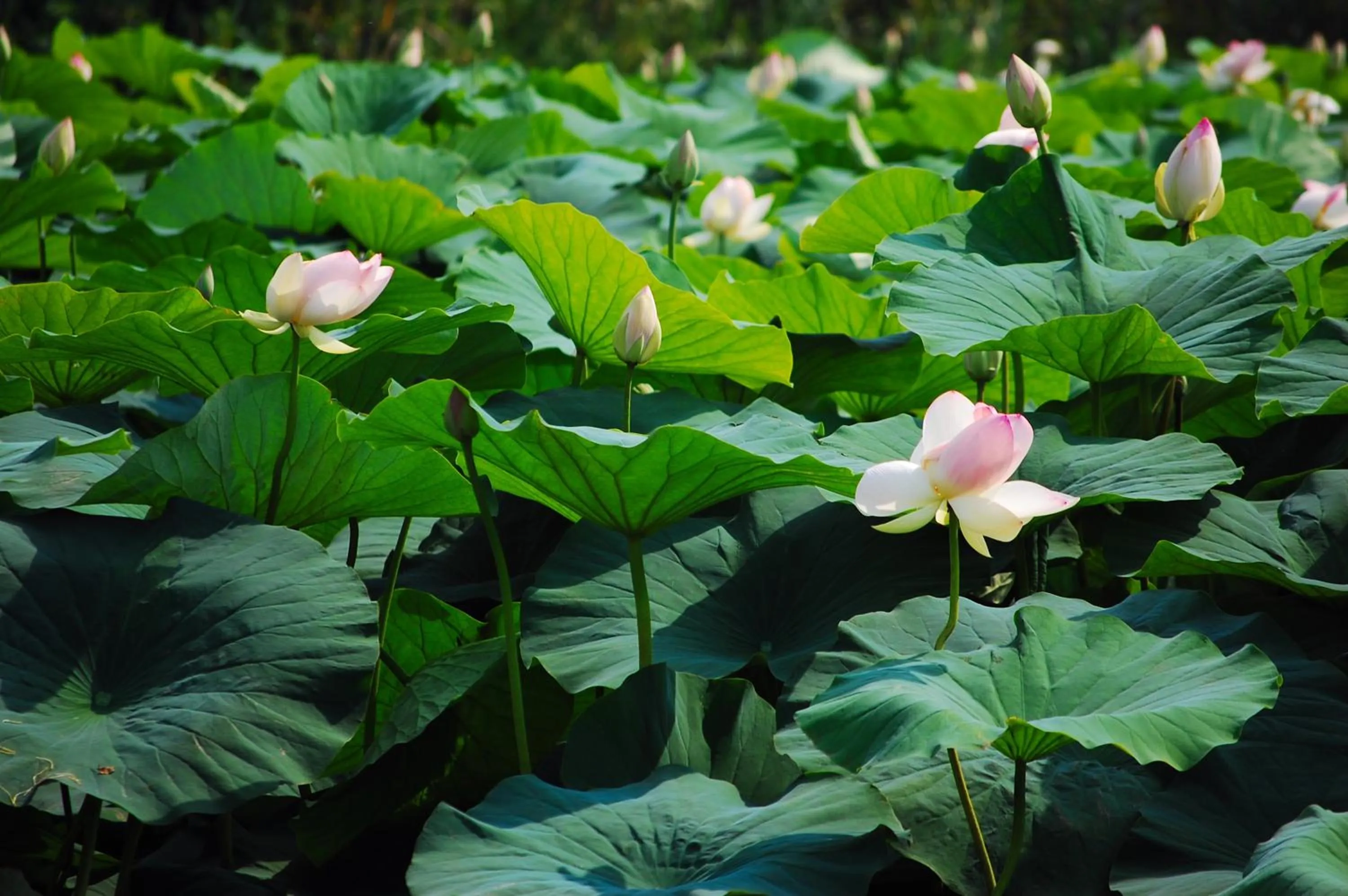 Other in A Casa Dei Gonzaga, MantegnaHotels