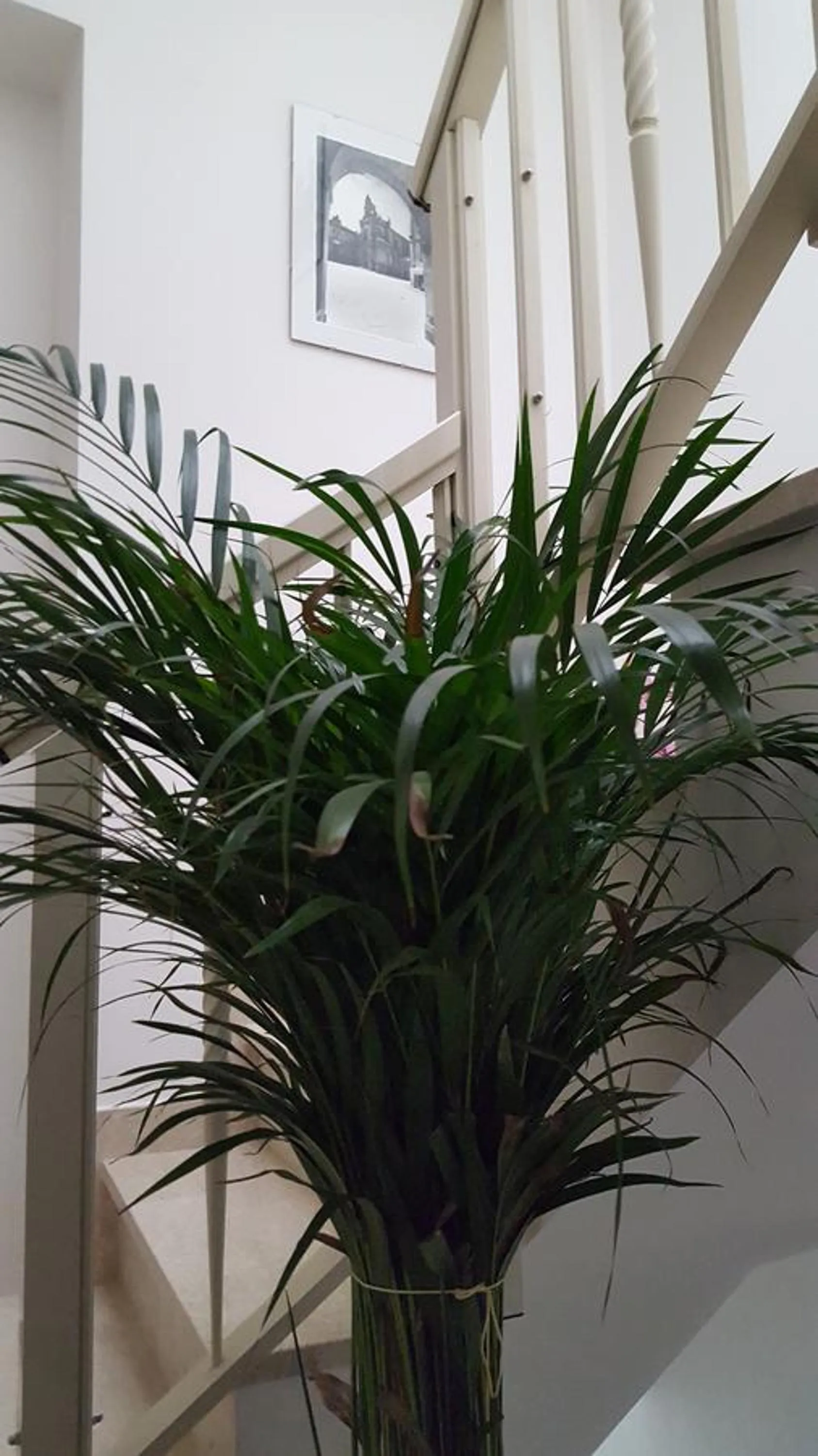 Ragusa Terra Priziusa