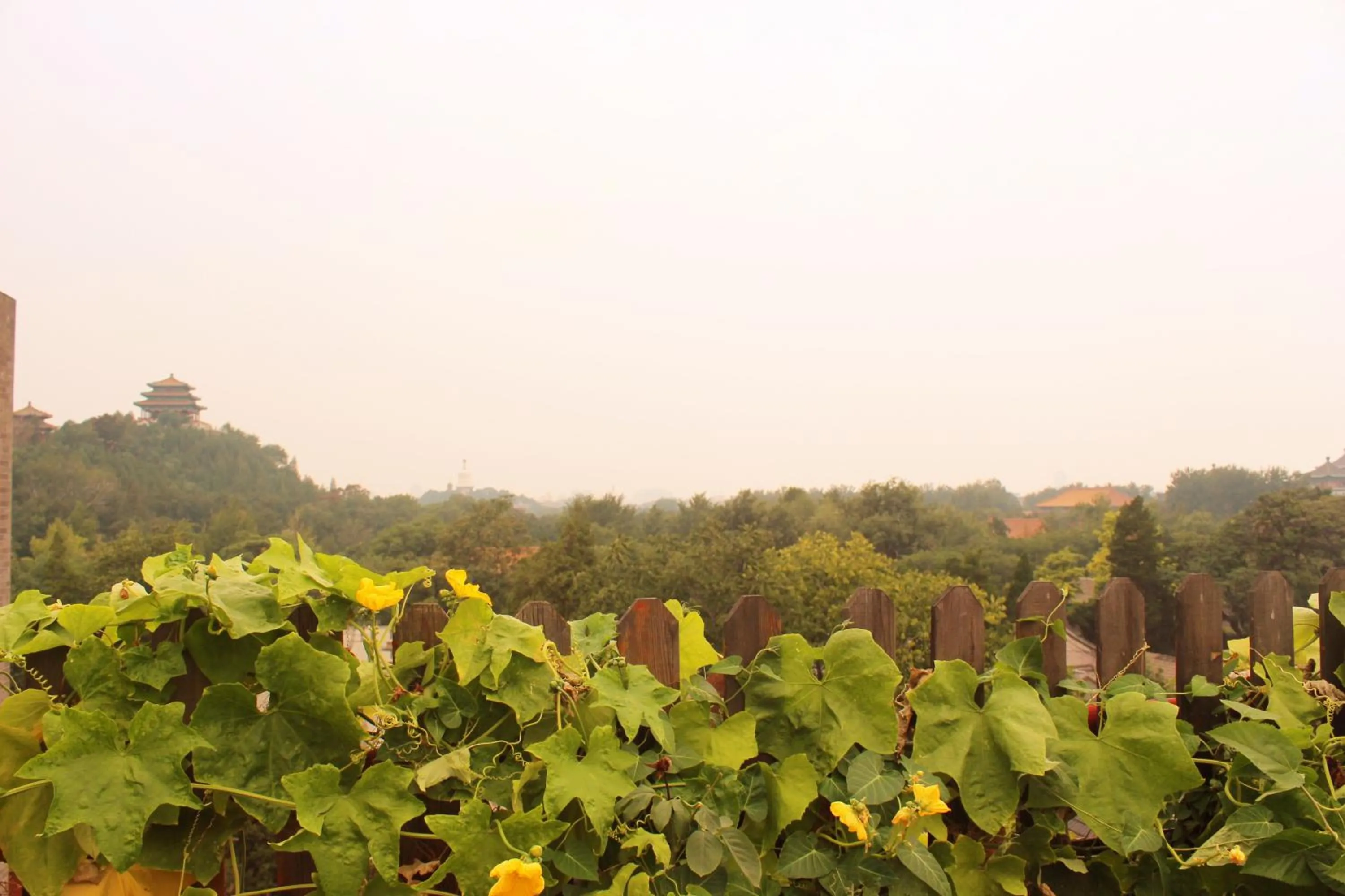 Other in King Parkview Hotel