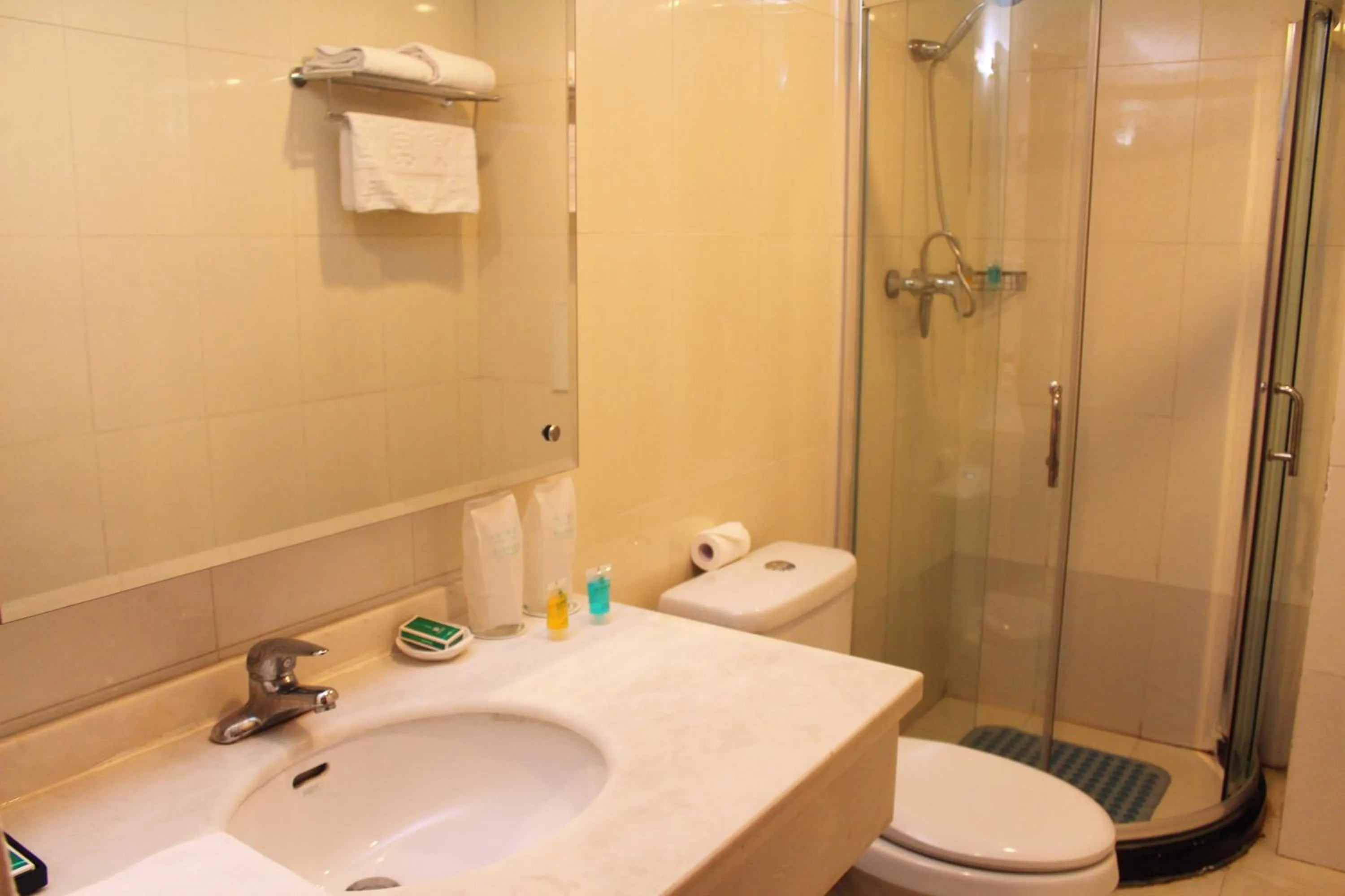 Toilet in King Parkview Hotel