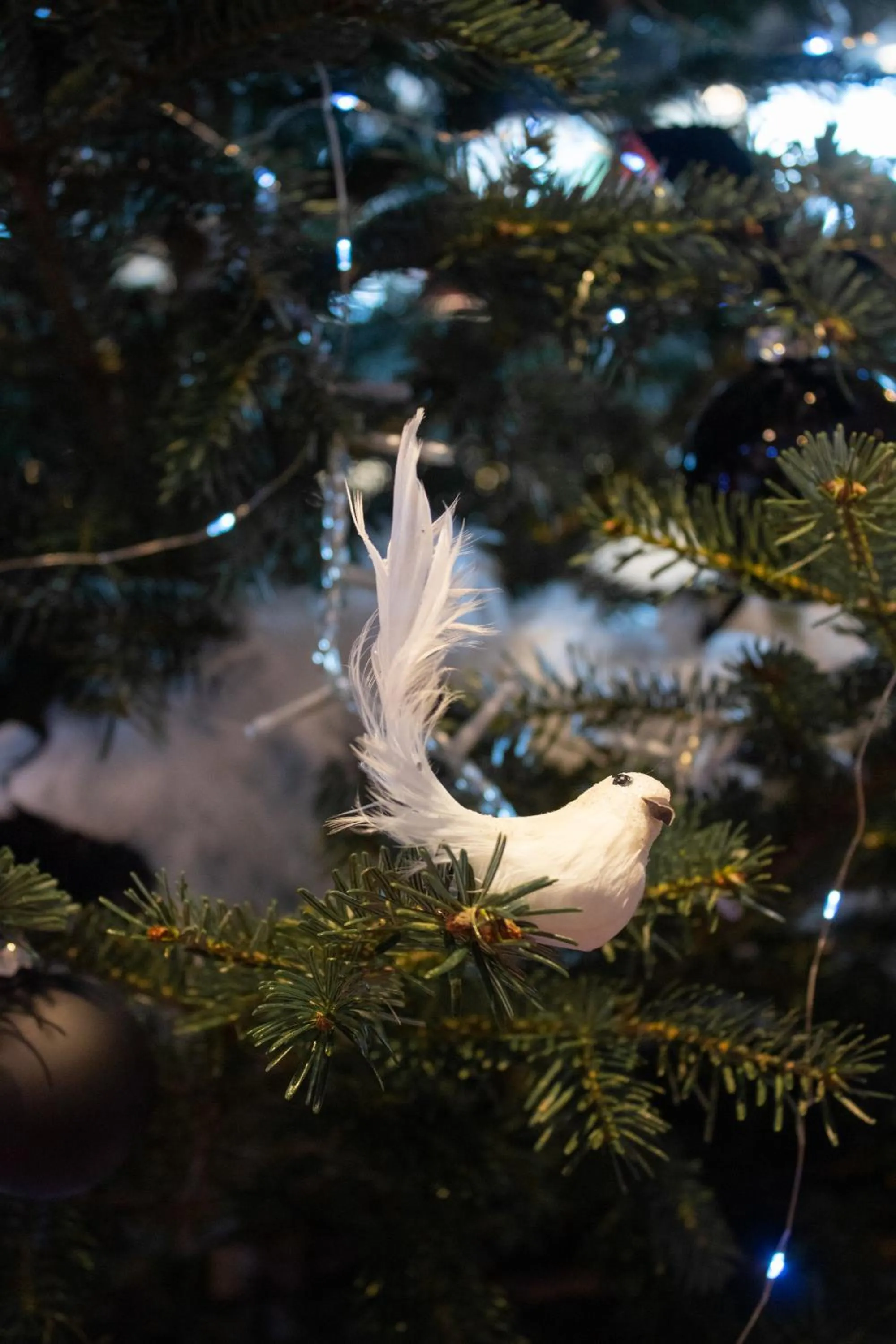 Decorative detail in Hotel 3 Vallées Val Thorens