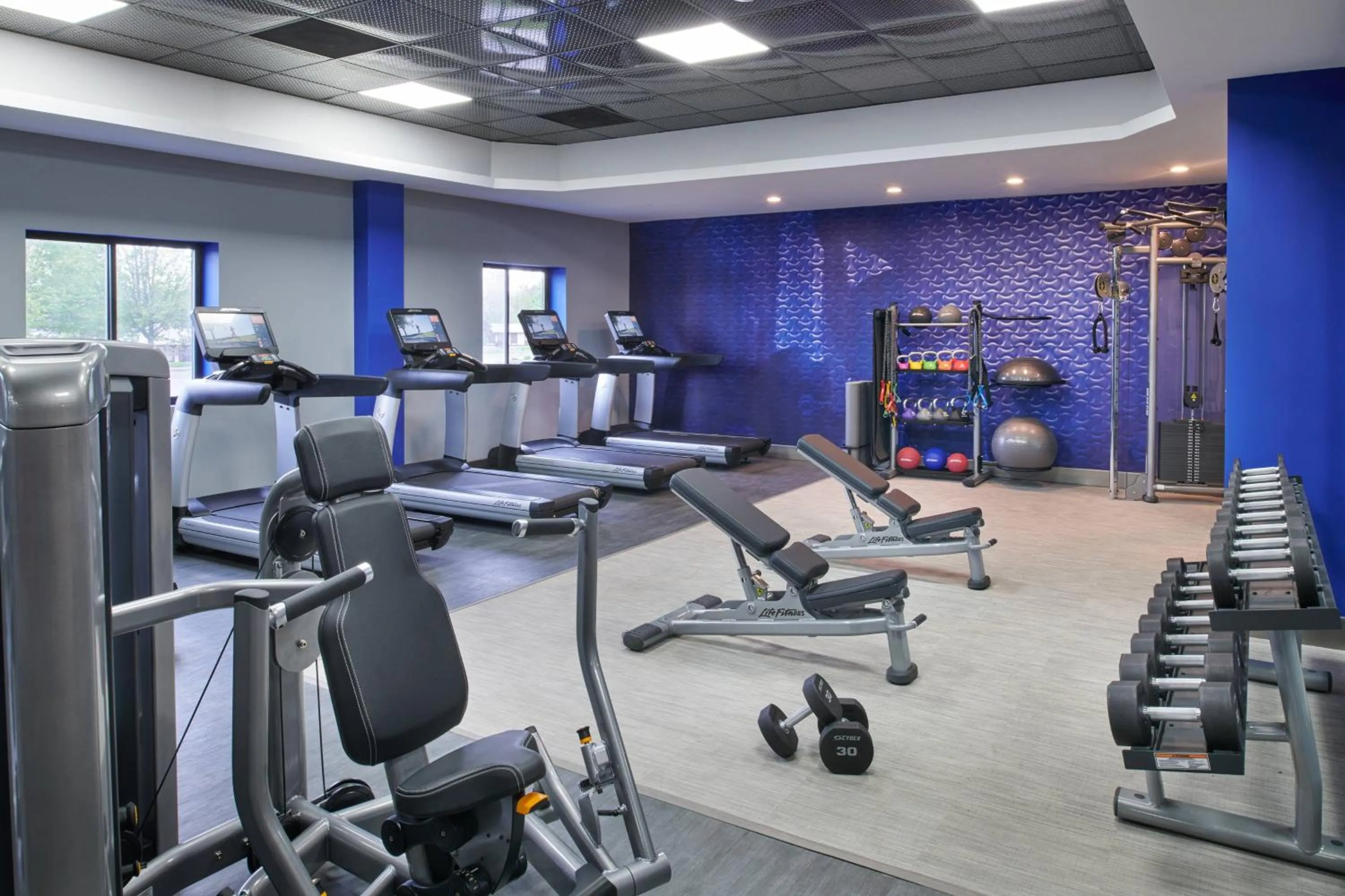 Fitness centre/facilities in Delta Hotels by Marriott Detroit Novi