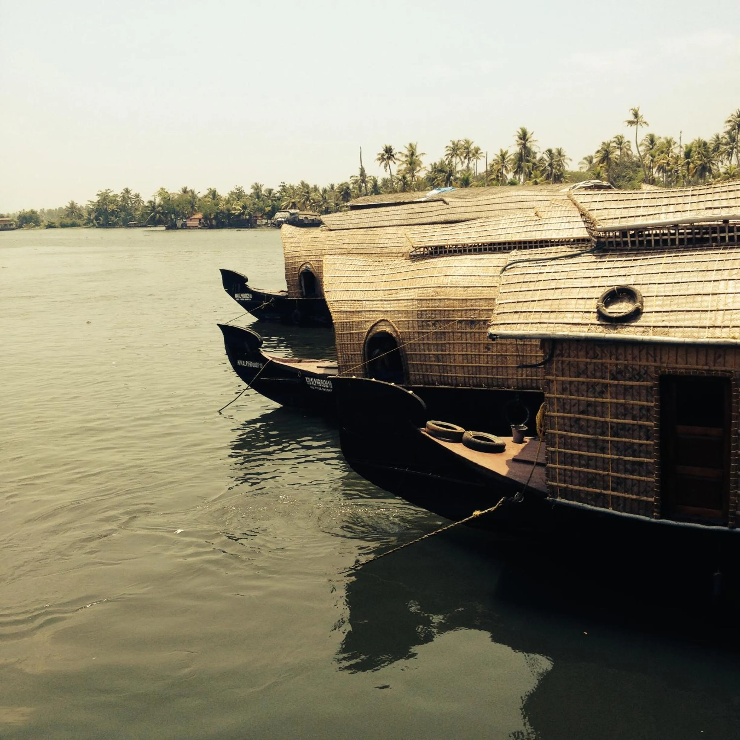 Activities in Mad about Coco Yoga & Beach Retreat